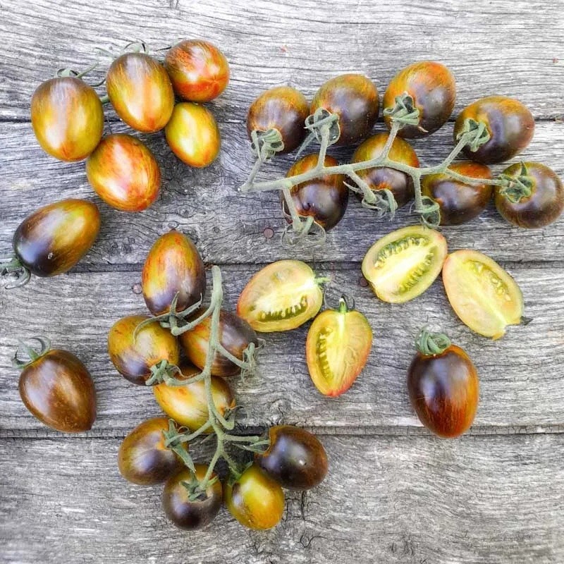Tomato Brad’s Atomic Grape 25 – 200 – 1000 Seeds Vibrant colors NON-GMO