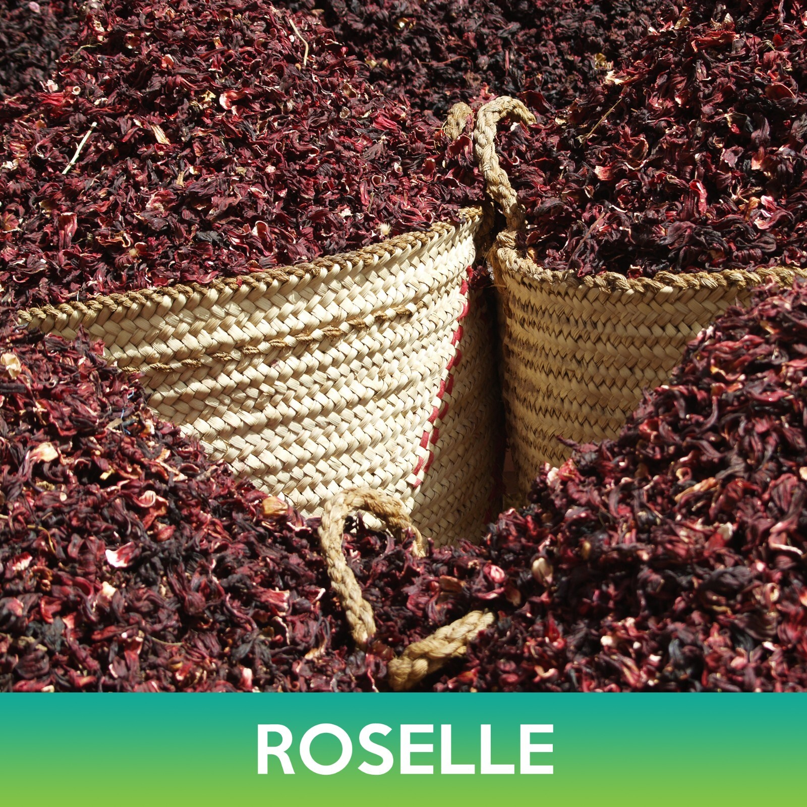 Roselle Seeds, Asian Sour Leaf, Hibiscus sabdariffa