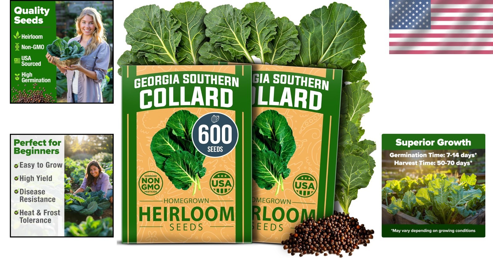 Heirloom Collard Green Seeds 600 Non GMO Great for Beginners and Experts