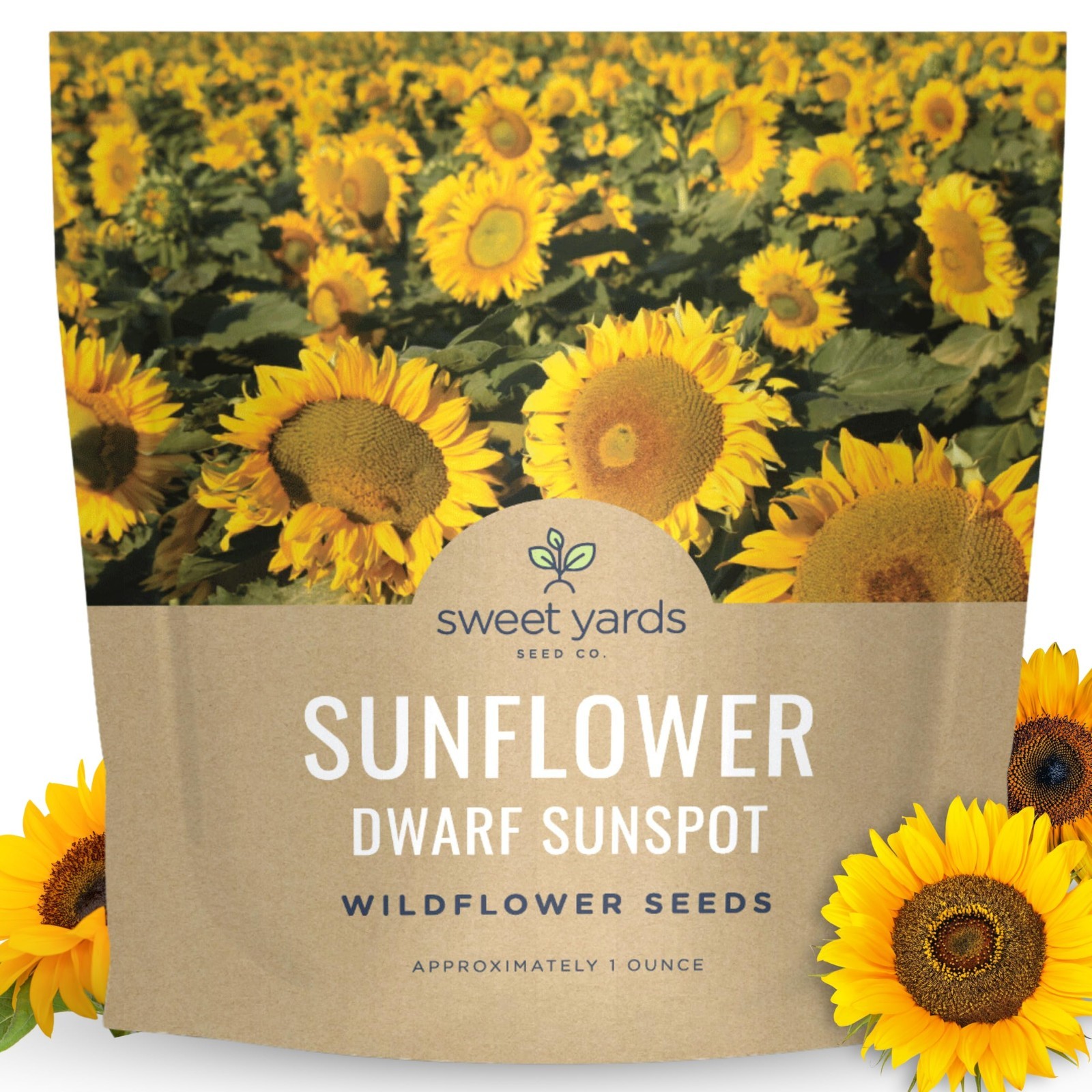 Dwarf Sunspot Sunflower Seeds – 500 Count, 1oz Packet for Easy Planting