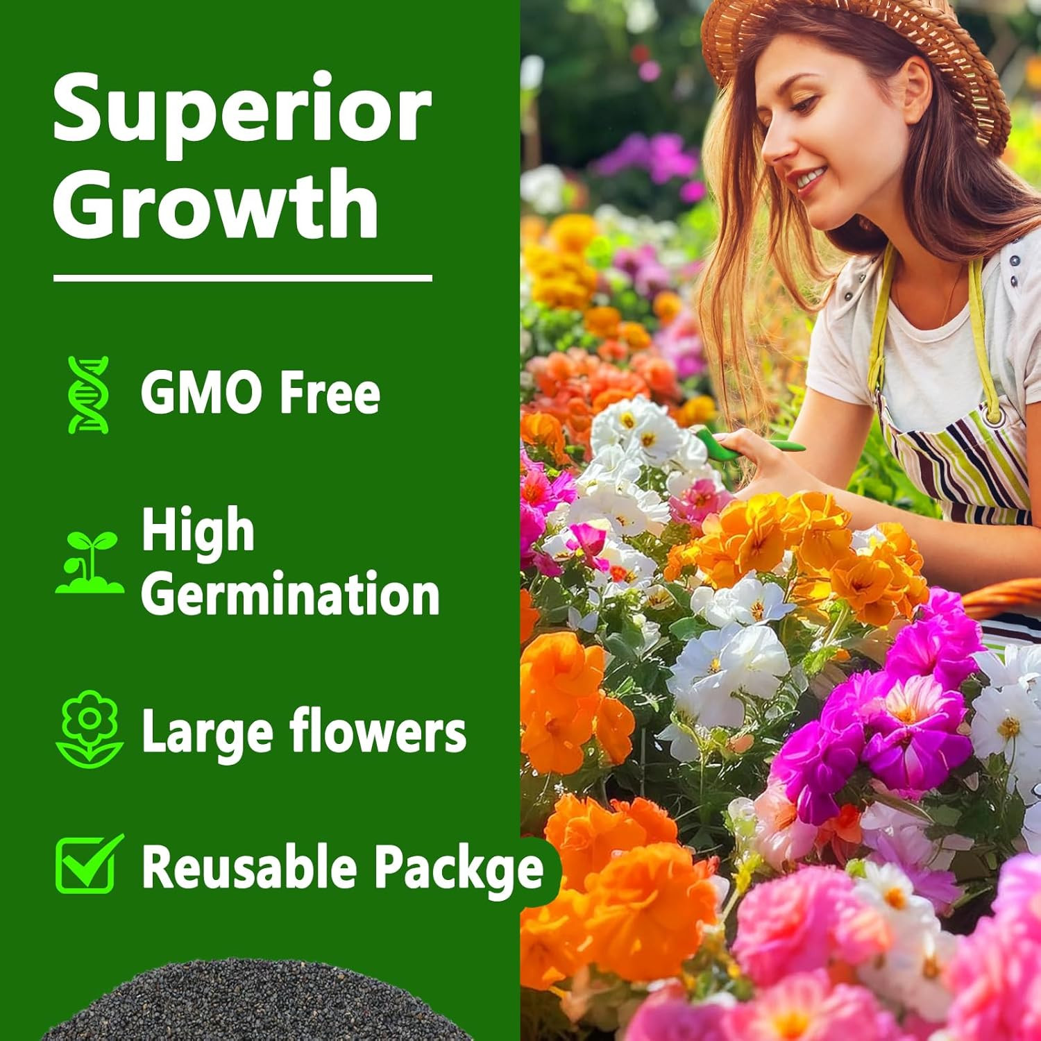 Moss Rose Seeds, 10,000+ Bulk Flower Seeds for Planting Outdoors(99% Pure Live,