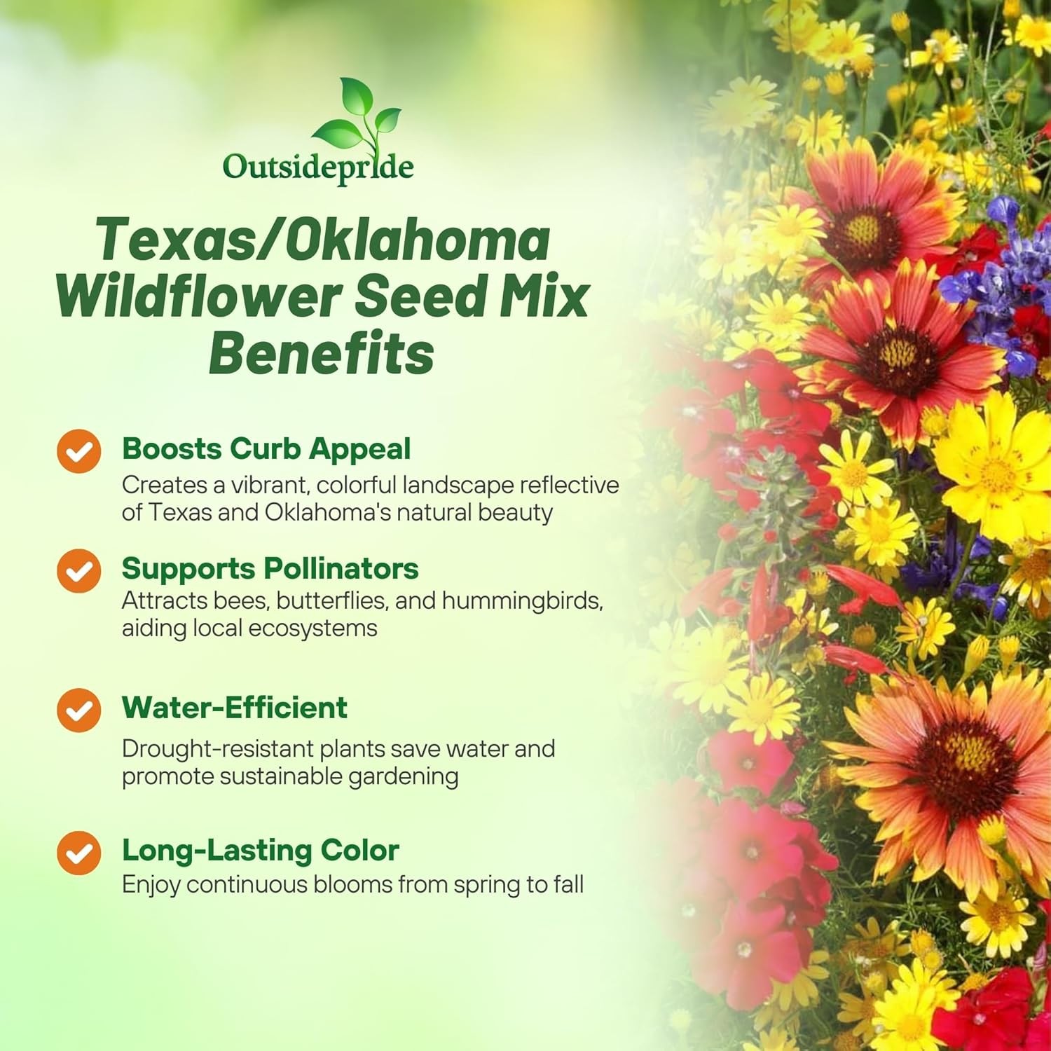 5 LBS Texas and Oklahoma Wildflower Seed Mixes For Planting Outdoors