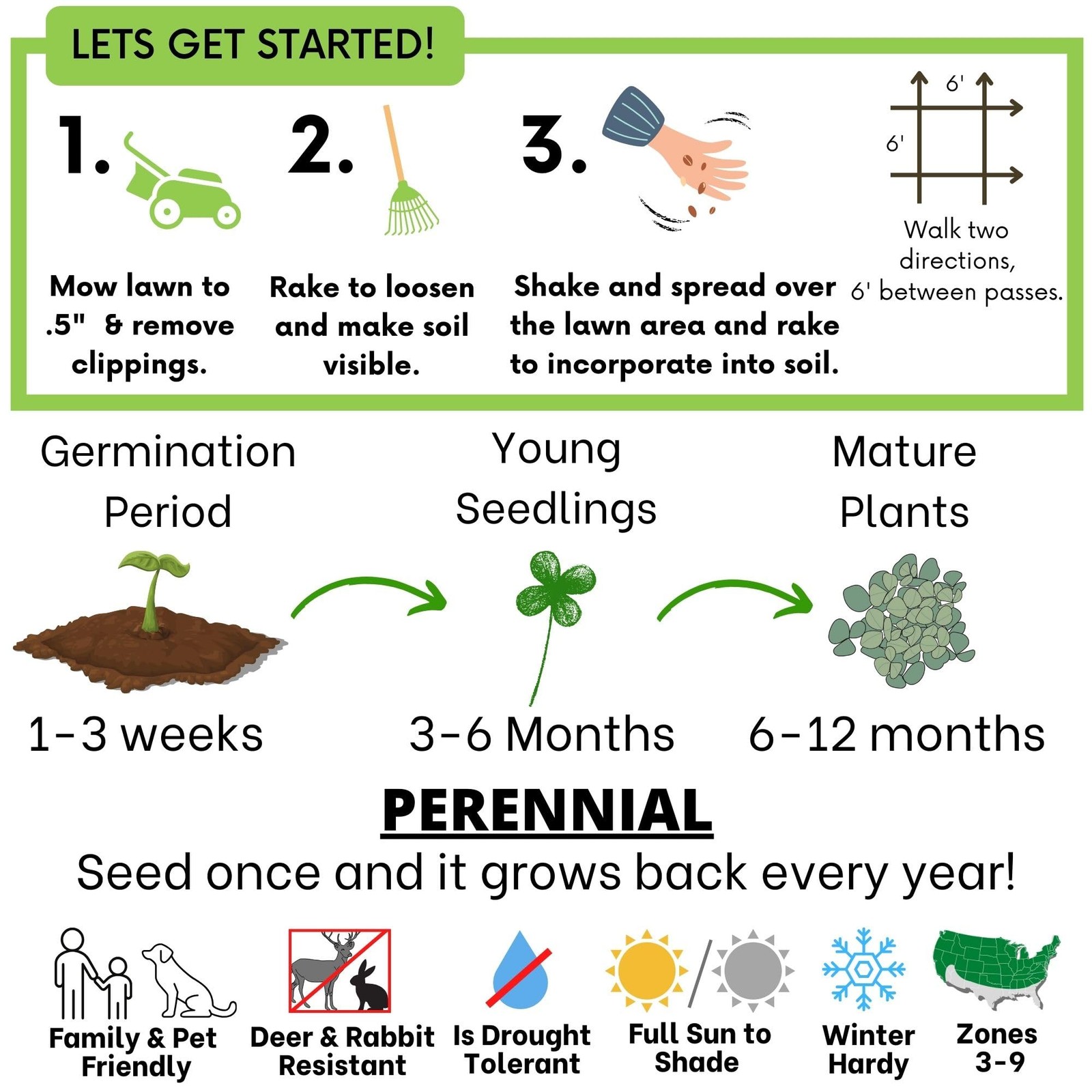 Micro Clover Seed Kit Organic, EcoFriendly Lawn Alternative, Covers 500 Sqft