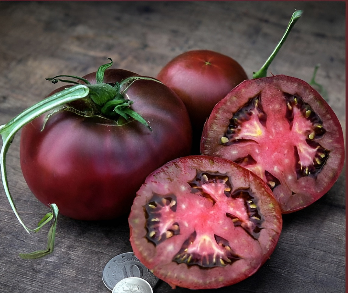 100 Heirloom Black From Tula Tomato Seeds 16oz Sweet Rich Smokey Indeterminate