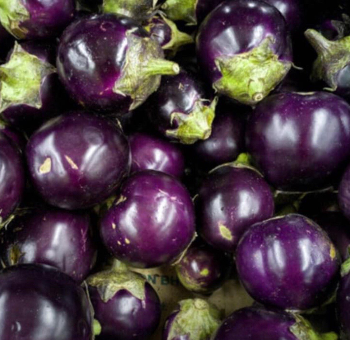 50+ SEED-Round Purple Eggplant Thai / Indian Heirloom Buy2Get2Free(add2incart)