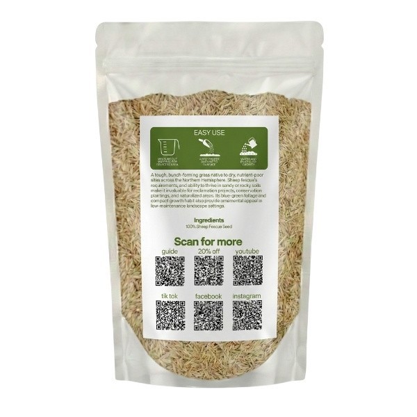 Old Cobblers Farm™ Wicked Tuff Turf Sheep Fescue Seed – Drought-Tolerant Lawn