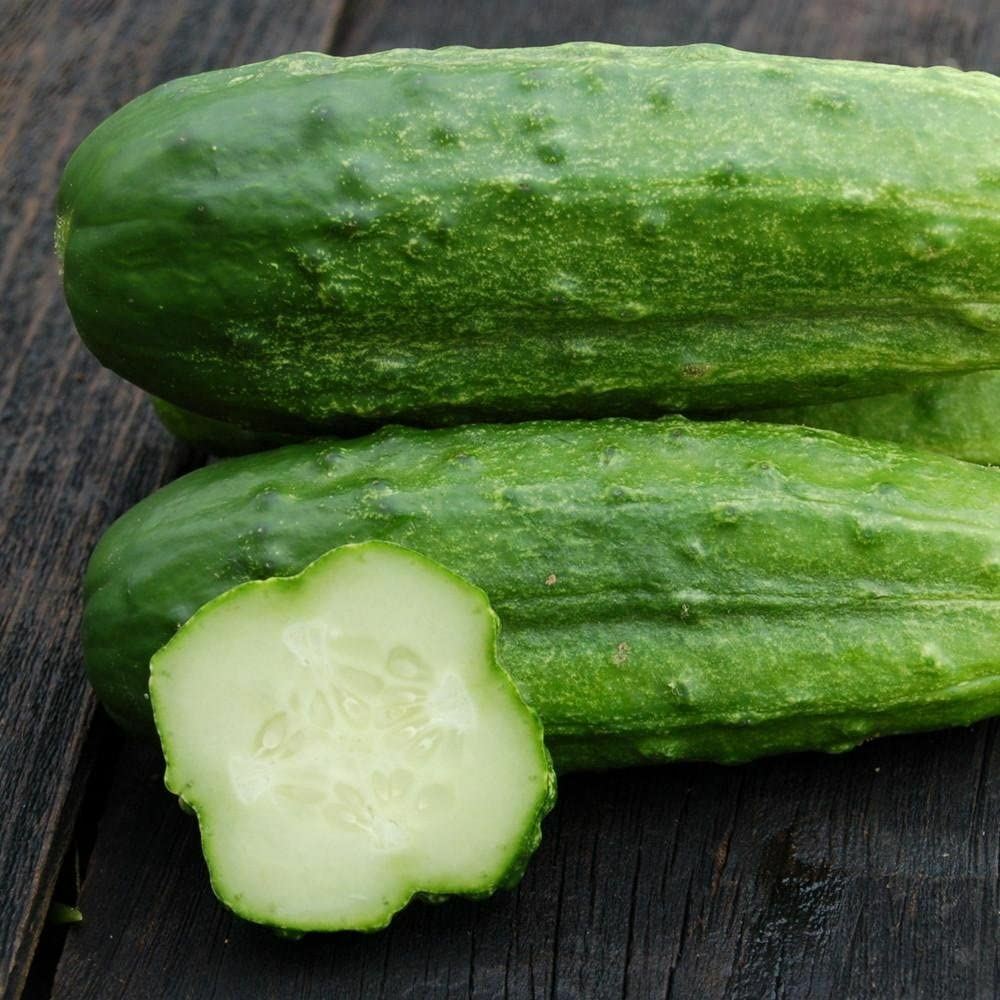 Cucumber Seeds- National Pickling Cucumber Seeds ,”COOL BEANS N SPROUTS” Brand.