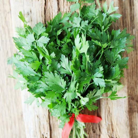 Parsley ITALIAN GIANT Herb Container Garden Edible Culinary Non-GMO 500 Seeds!