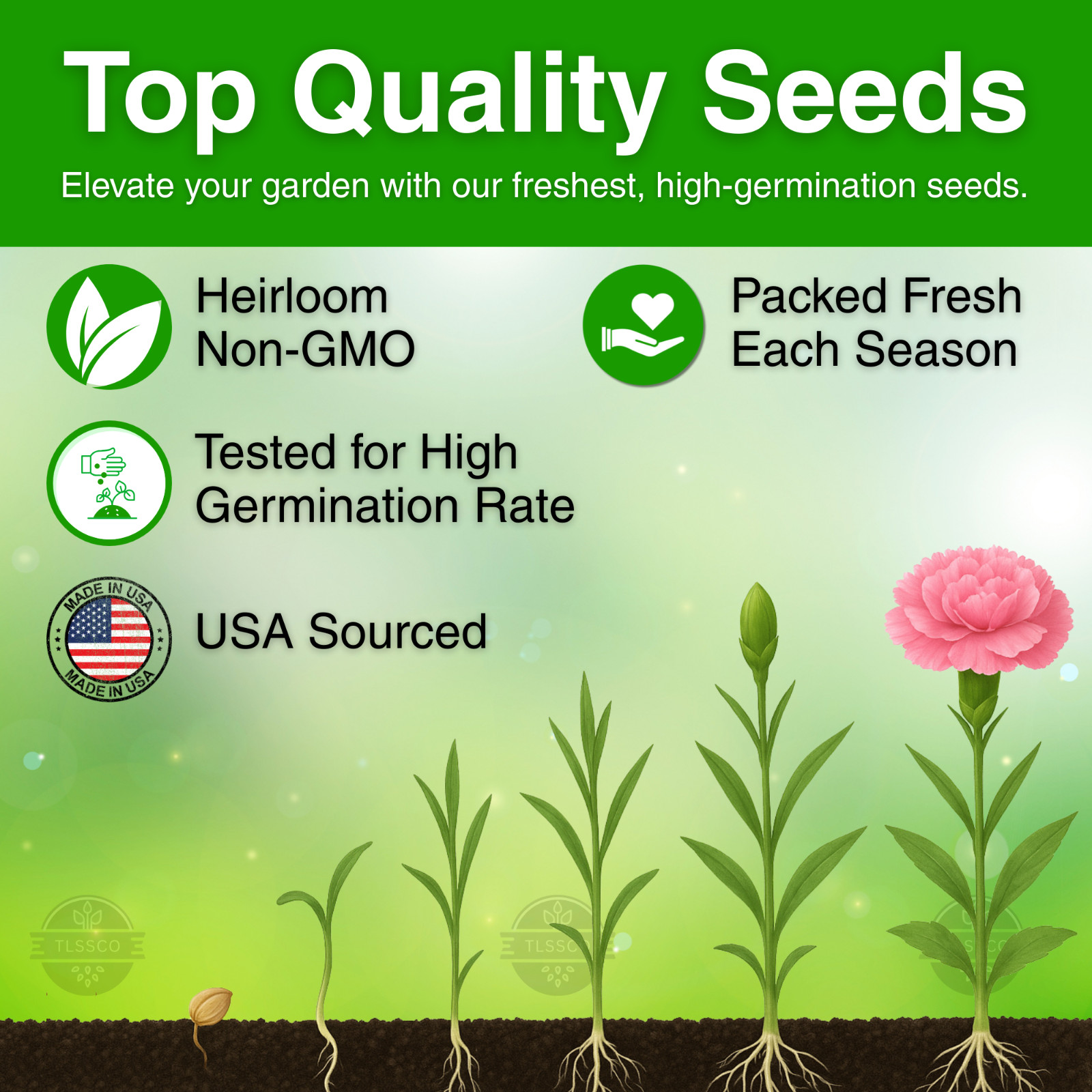 2500 Mixed Carnation Flower Seeds for Planting – Chabaud Mix Perennial