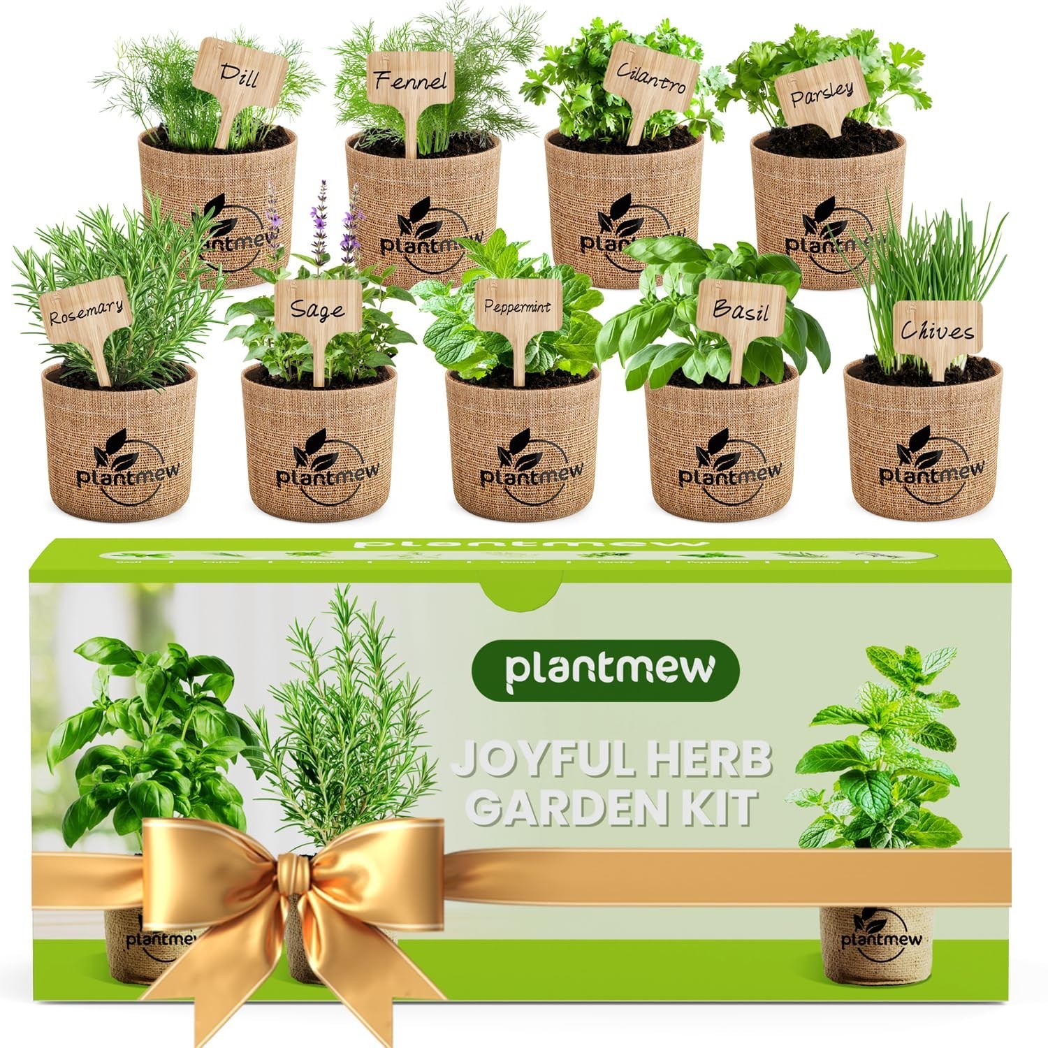 Indoor Herb Garden Kit – 9 Heirloom Seeds, Pots, Soil & Tools – Perfect Gift for