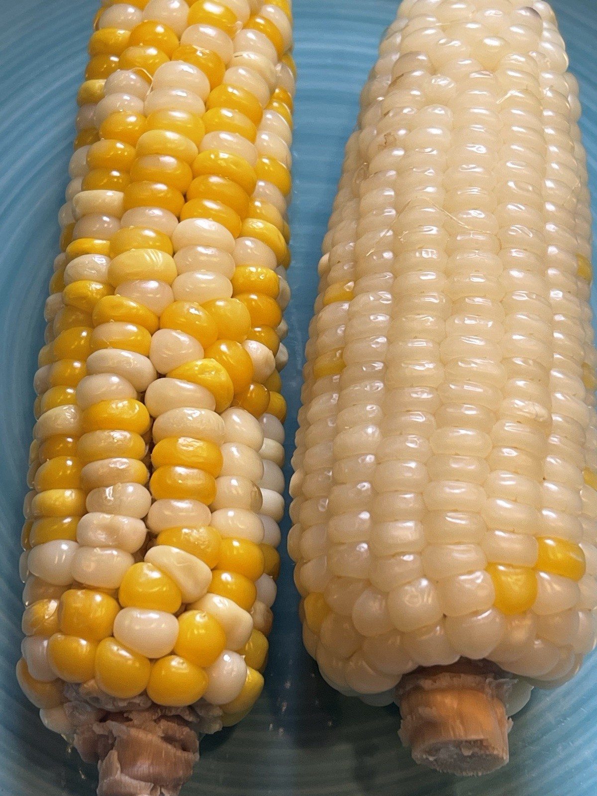 Organic Sweet Sticky Waxy White Glutinous Corn Non-GMO 糯玉米