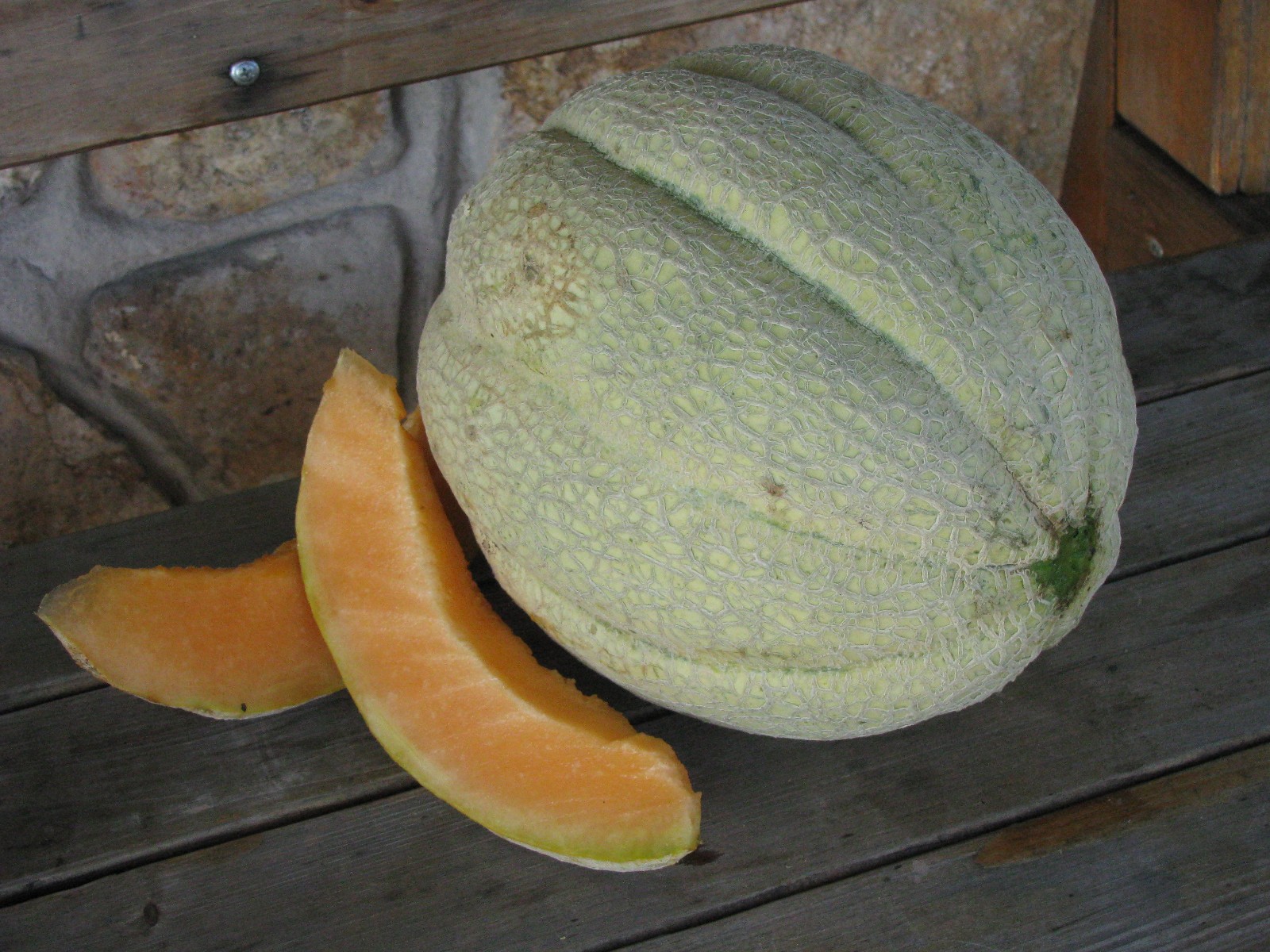 40 Heirloom Schoons Hardshell Melon Seeds Rare Old Timey Cantaloupe – 4-5 Pounds