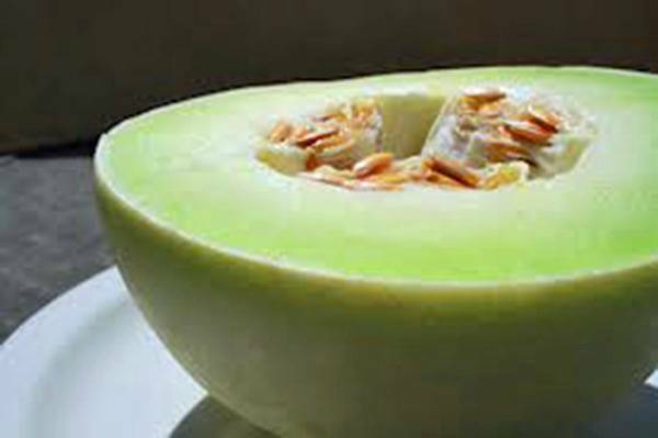 HONEY DEW MELON SEED, GREEN SWEET, HEIRLOOM, NON GMO, 500 SEEDS, MELLON