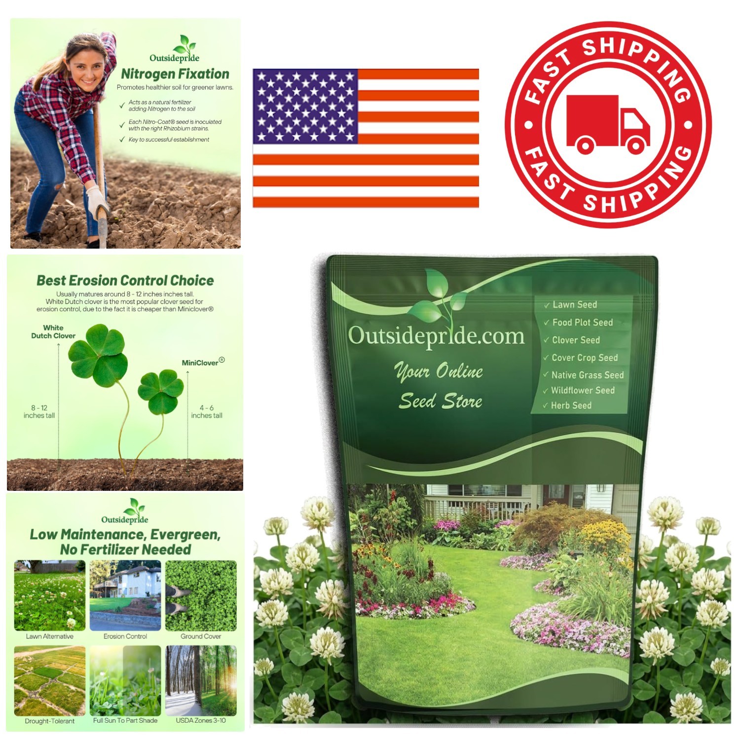 2 Lbs White Dutch Clover Seed For Sustainable Landscaping and Soil Health
