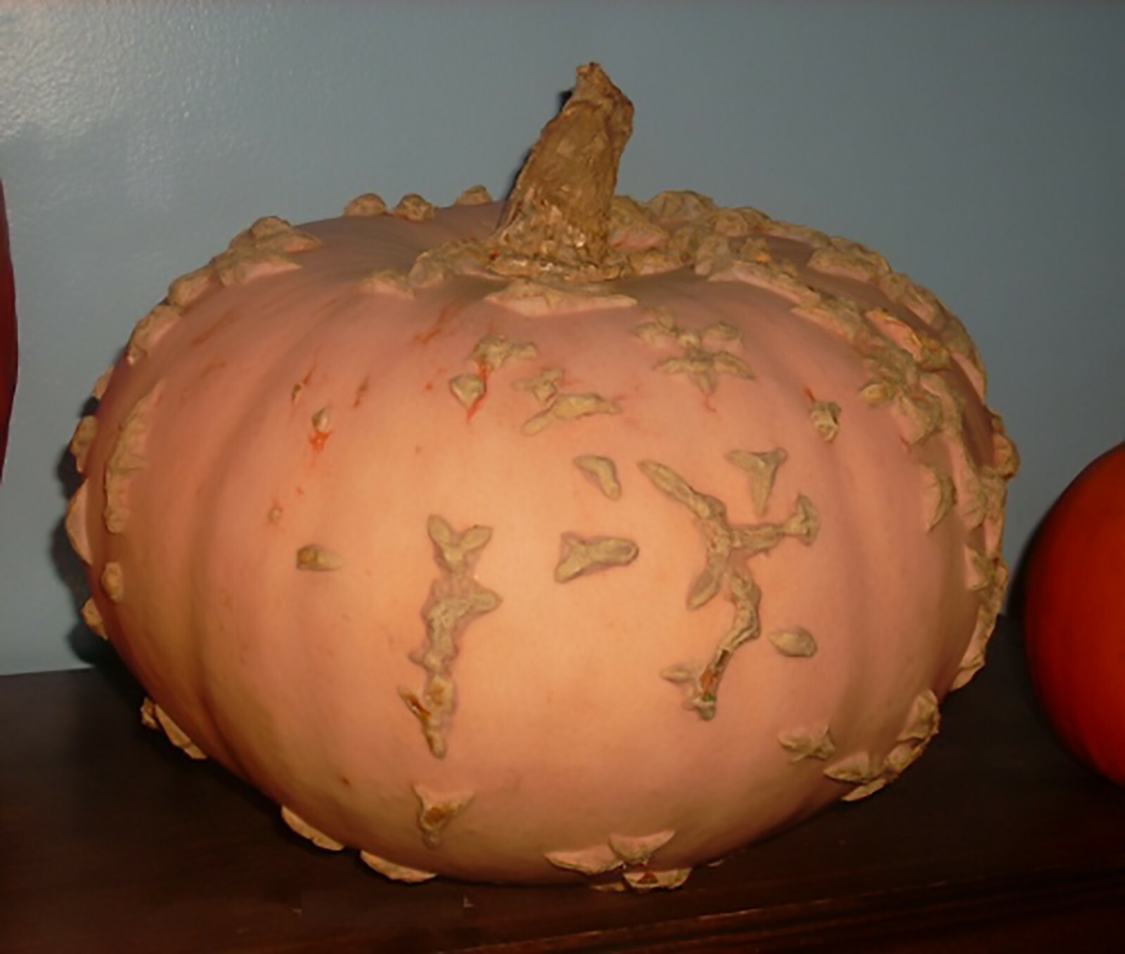 Peanut Pumpkin, D’ Eysines Squash, (Cucurbita maxima), Seeds