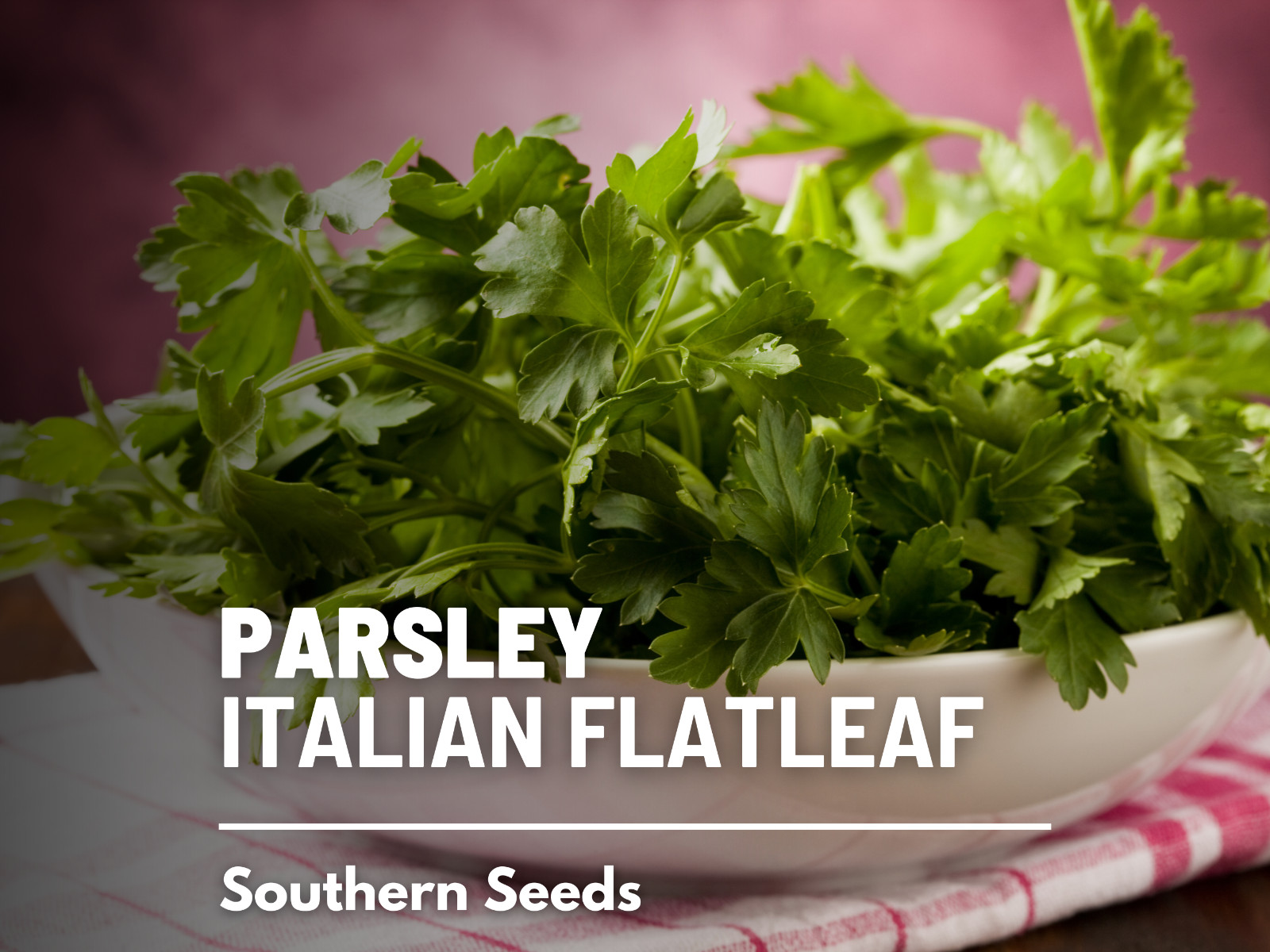 Parsley, Italian Flat Leaf – 200 Seeds – Non GMO