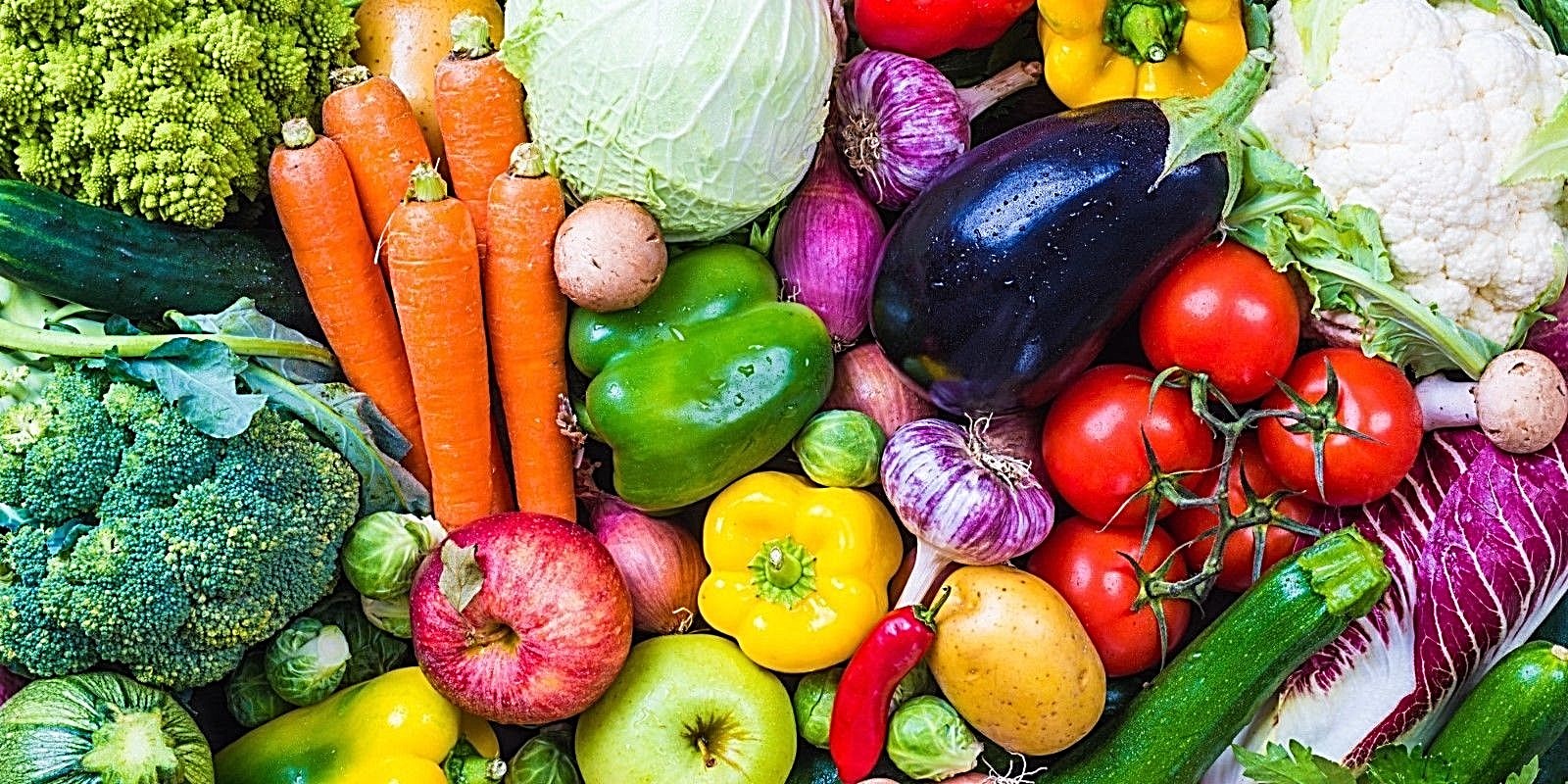 NON GMO HEIRLOOM VEGETABLE SEED YOU CHOOSE OVER 90 VARIETIES GROW YOUR OWN FOOD!