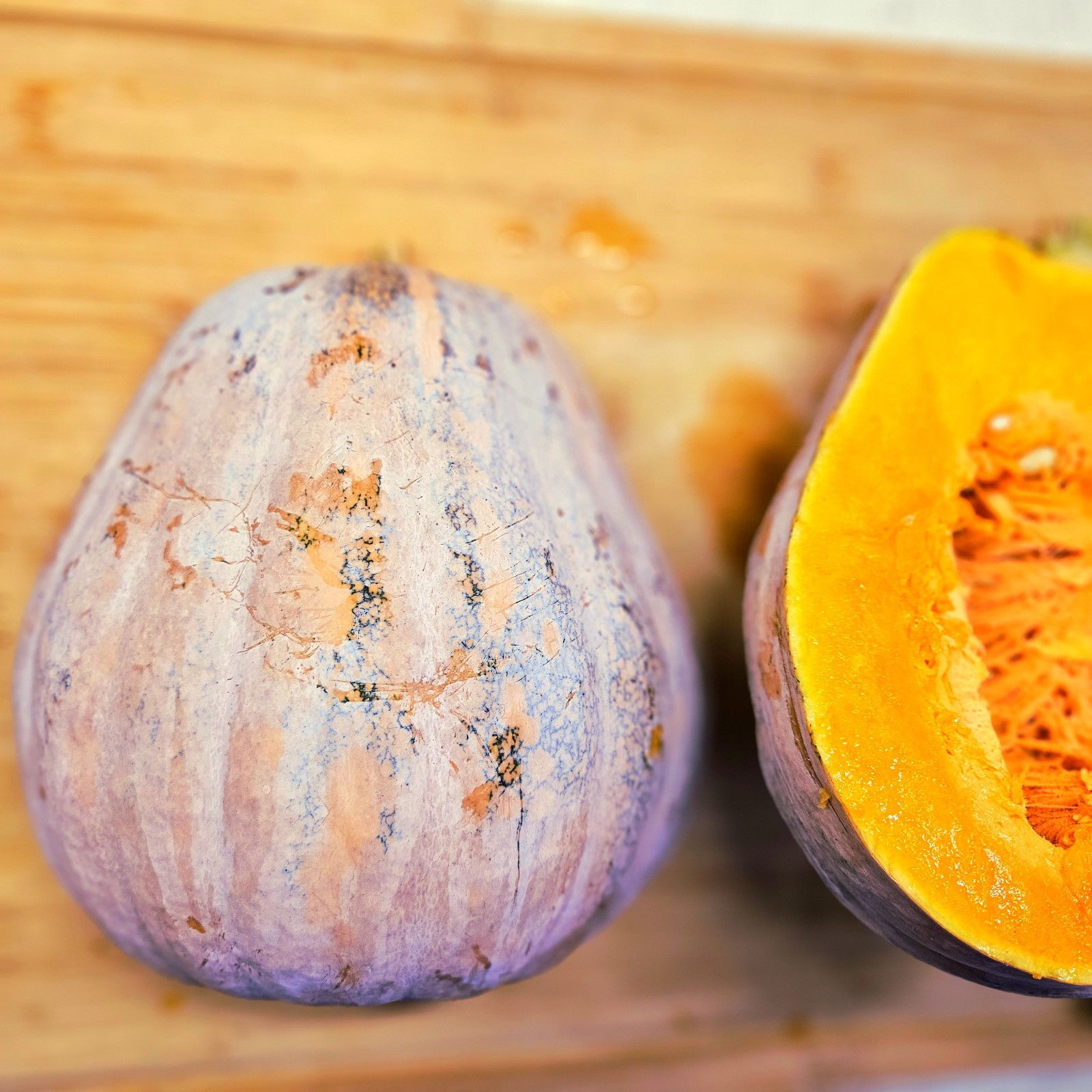 25 ORGANIC HEIRLOOM SEMINOLE PUMPKIN SEEDS/ SQUASH SEEDS.
