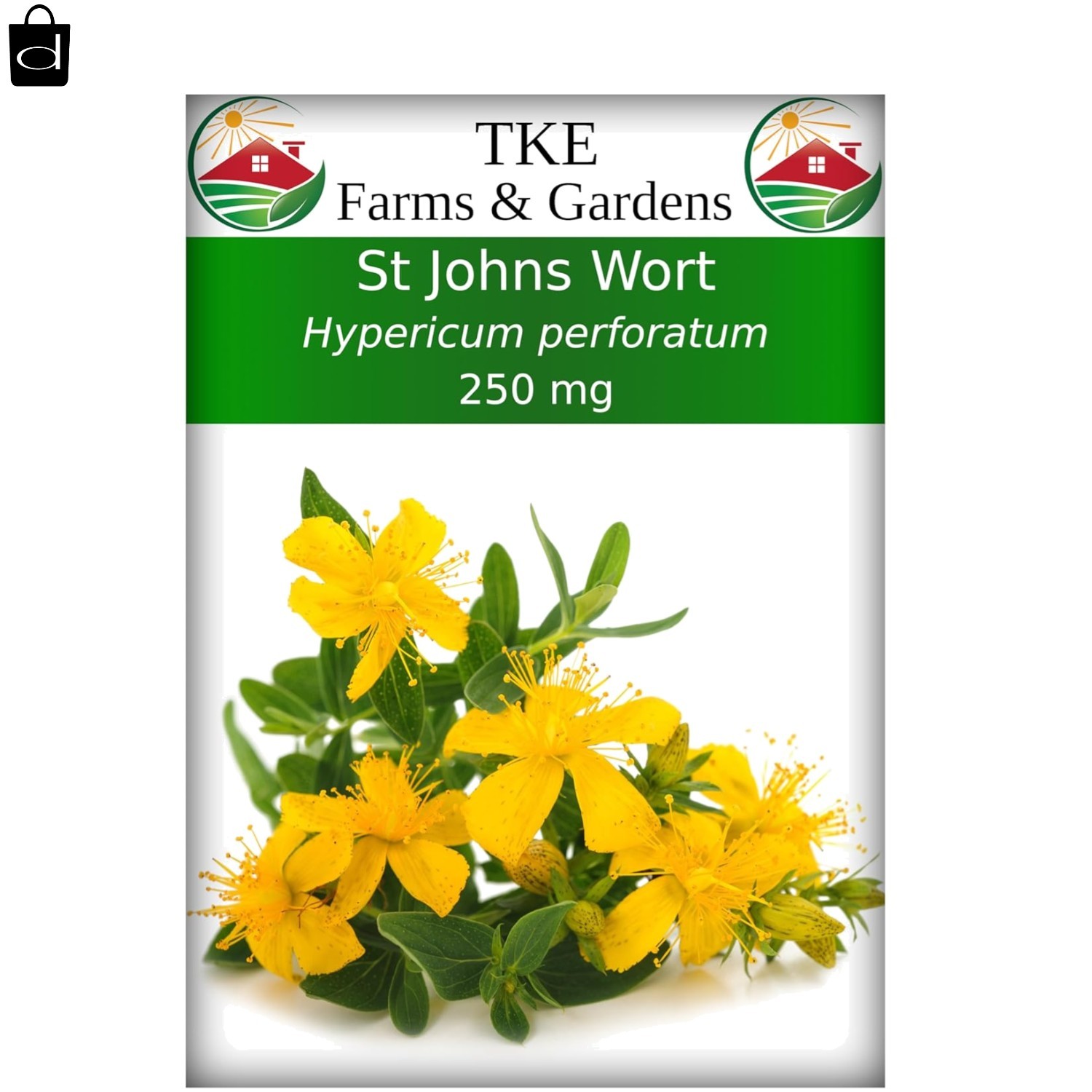 Plant 2000 Non-GMO St. John’s Wort Seeds – Attract Pollinators & Boost Wellness