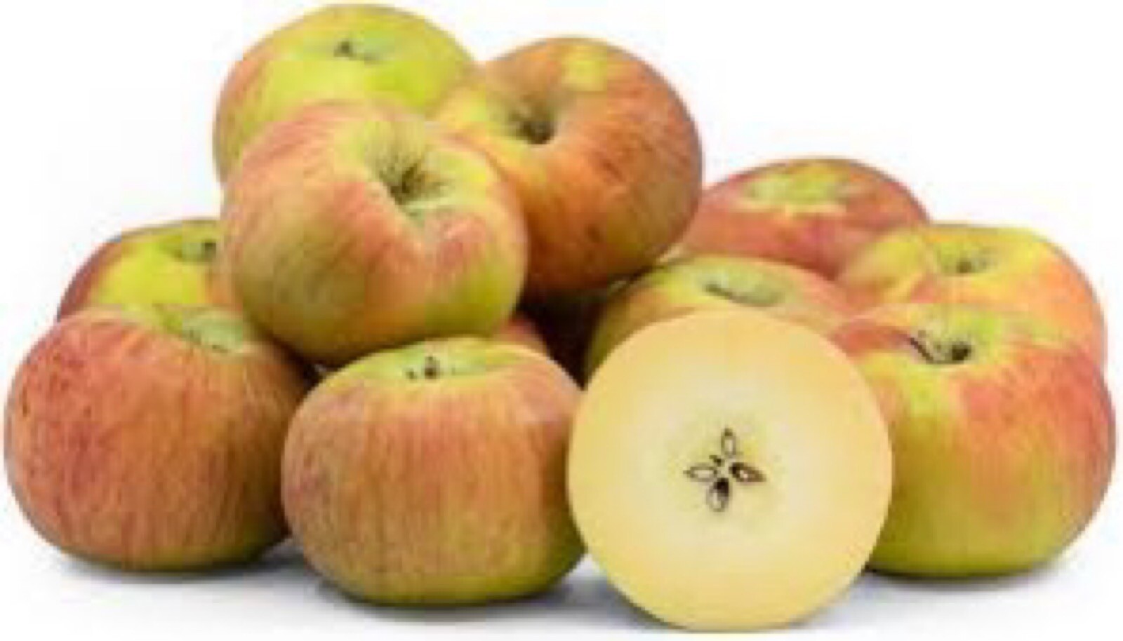 Waltana apple tree grafted 5x5x12 inches pot size 1 year old