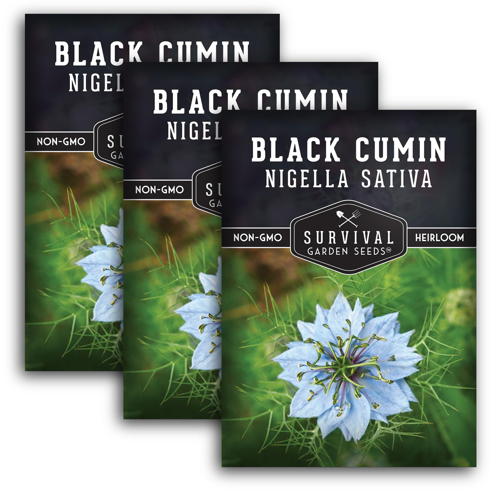 “Black Cumin Seeds for Planting 3 NonGMO Packets for Home Vegetable Garden”