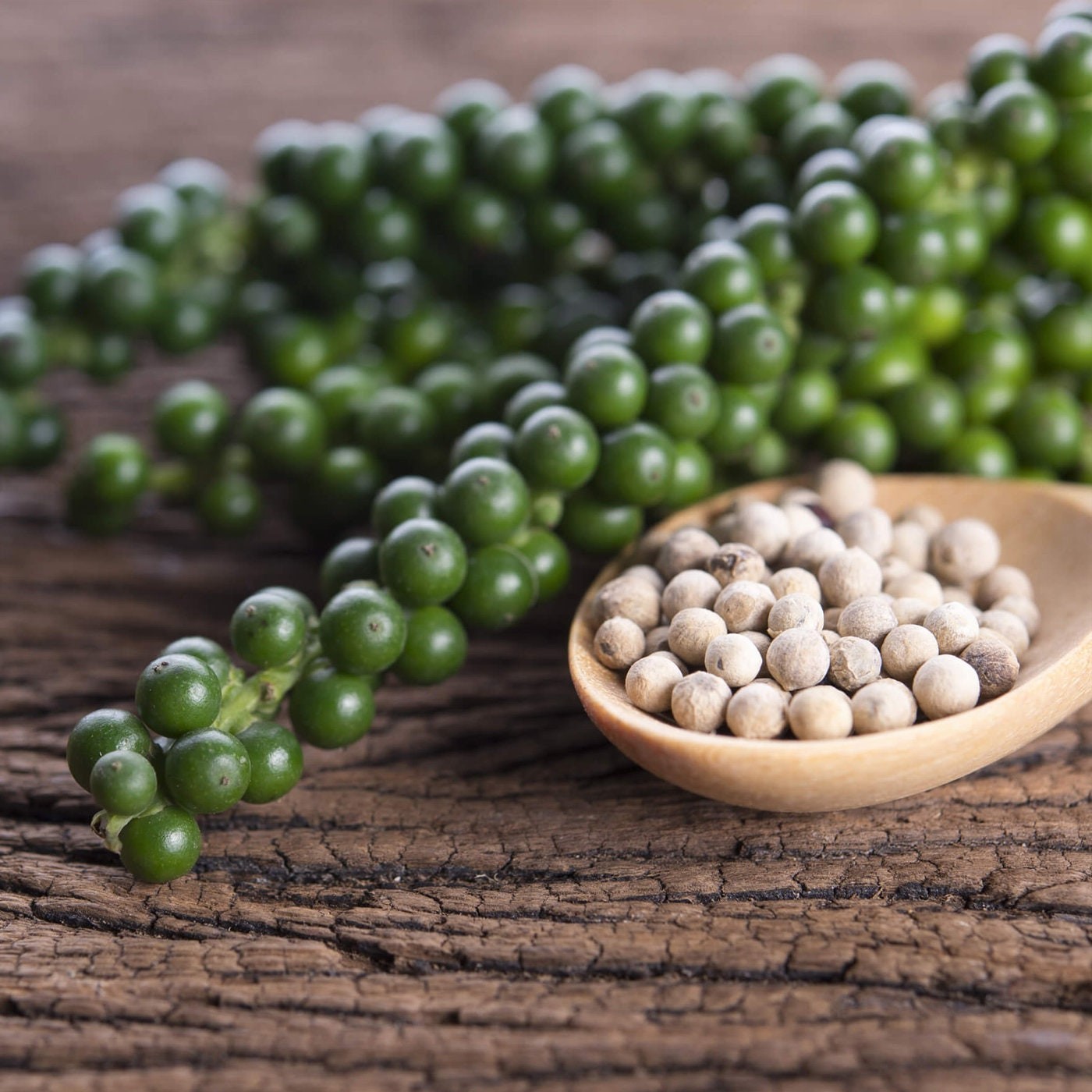 White Peppercorn Seeds (30) / Vining / Florida Grown / Rare