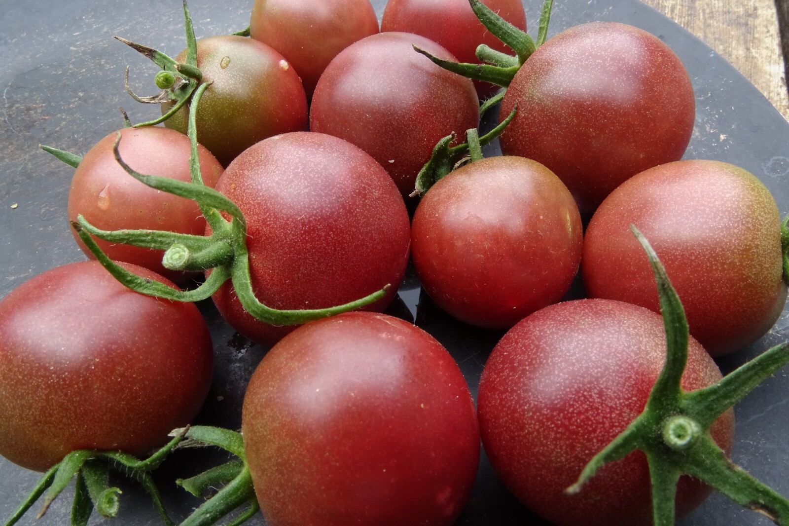 Black Cherry – deep purple cherry tomato with robust flavor