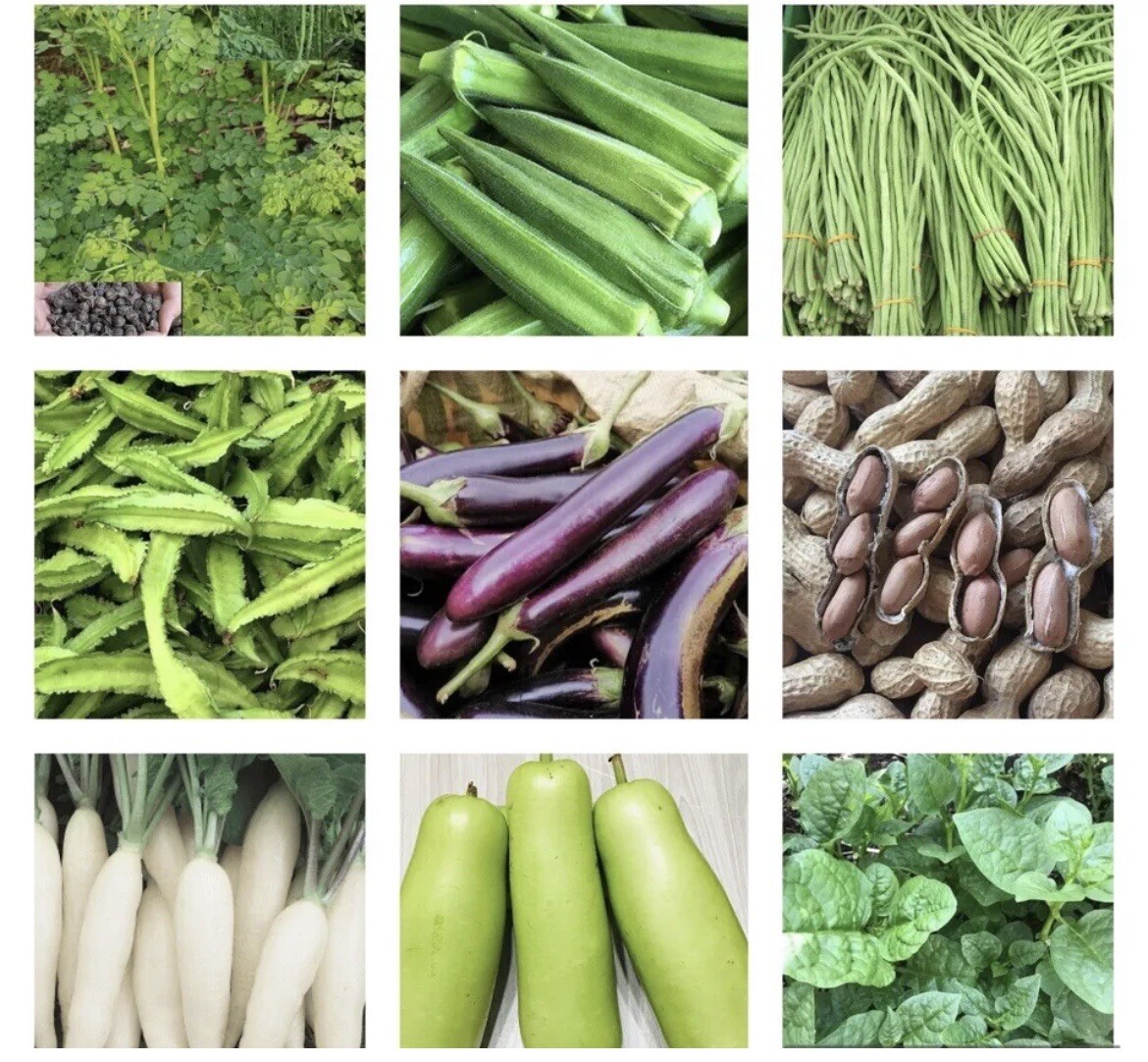 20 Packets Vegetable SEEDS for Planting . Asian Vegetable SEEDS.