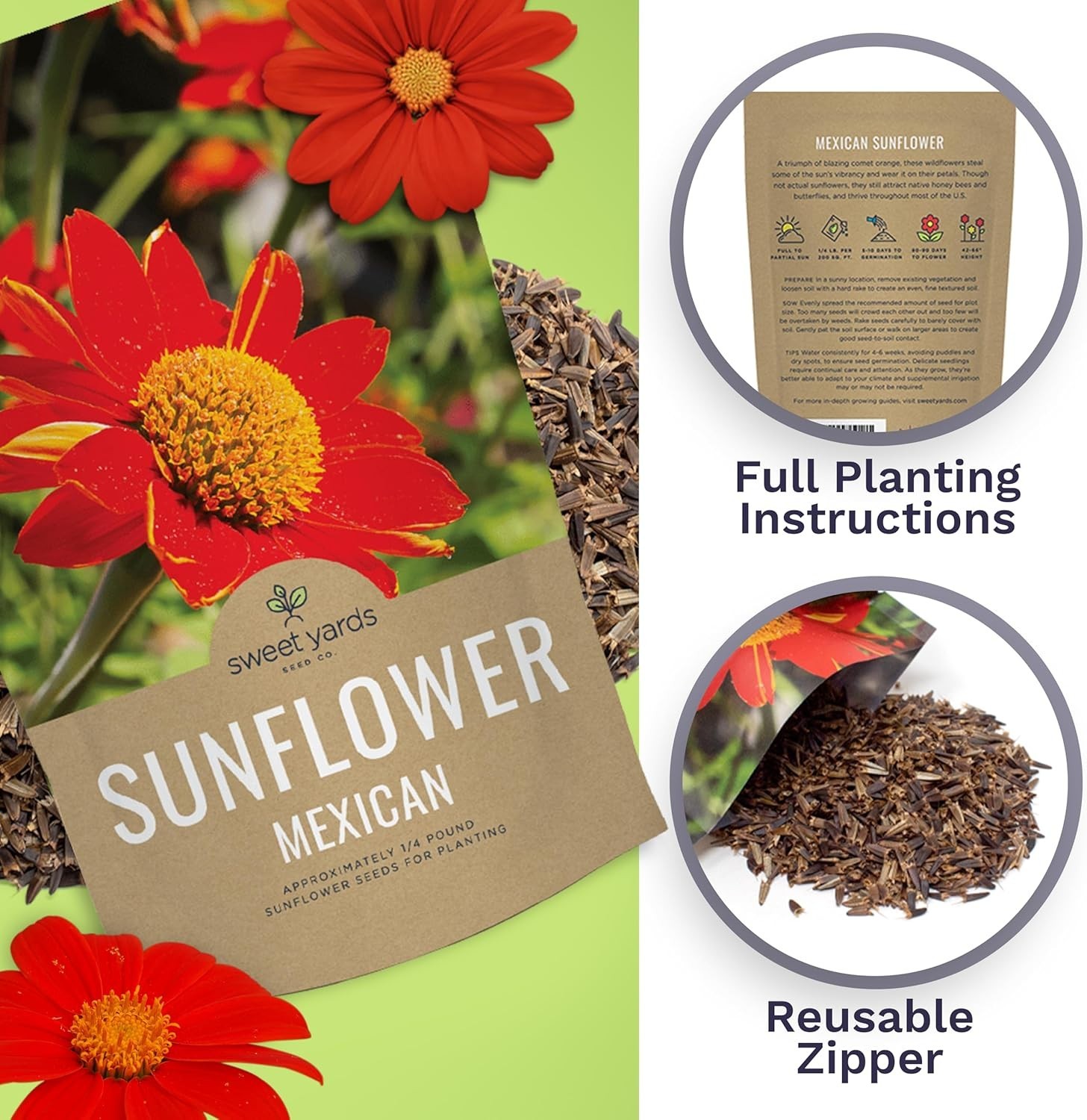 Bulk Mexican Sunflower Seeds 10,000+ Open Pollinated Non-GMO Tithonia rotundi…