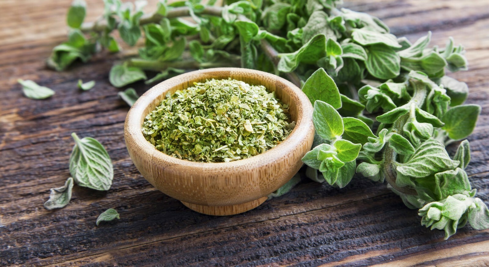250 ITALIAN OREGANO HERB SEEDS ~ 2026 ~ heirloomseedguy ~ USA