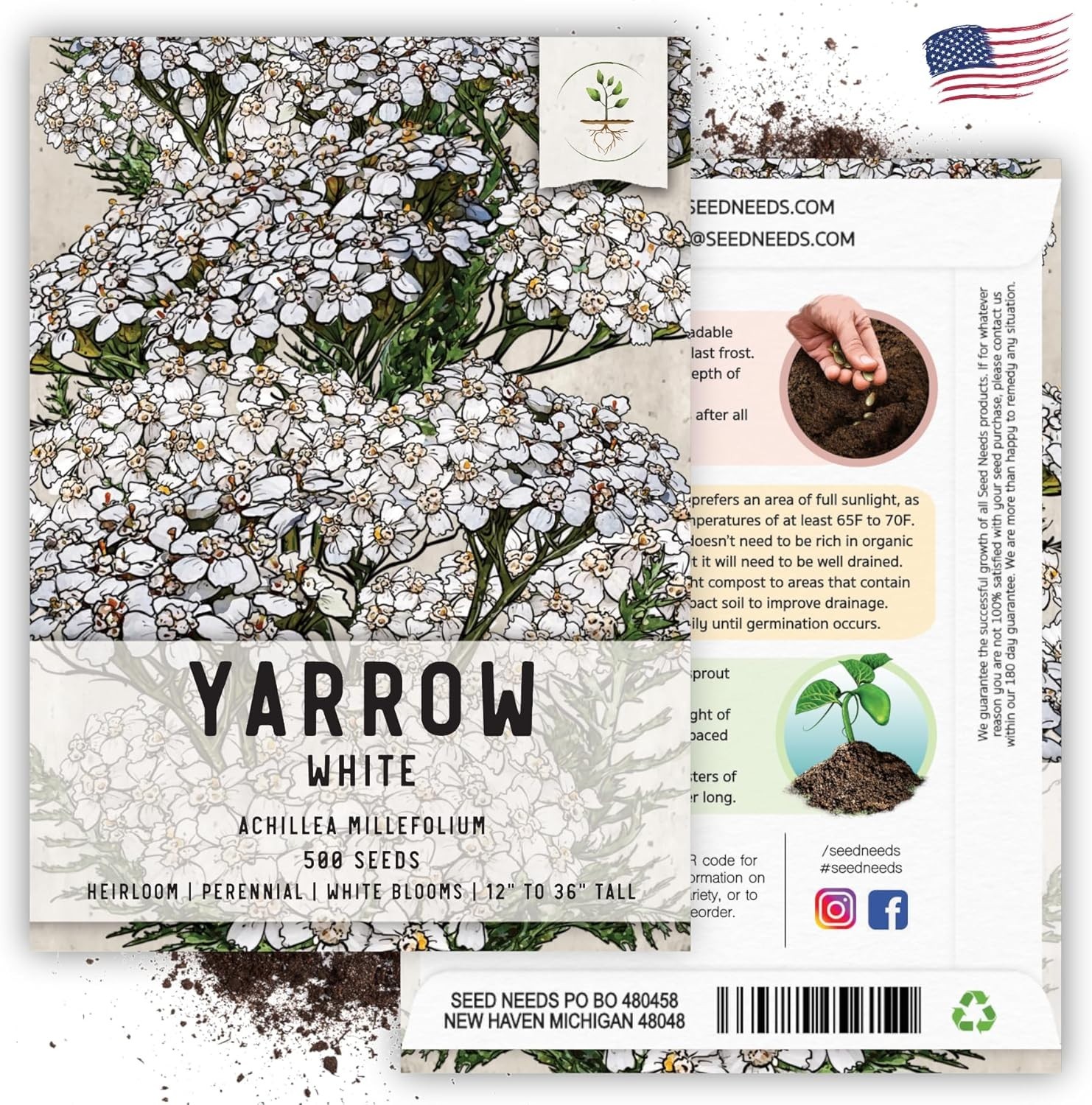 White Yarrow Seeds – 500 Heirloom Seeds for Planting Achillea millefolium – P…