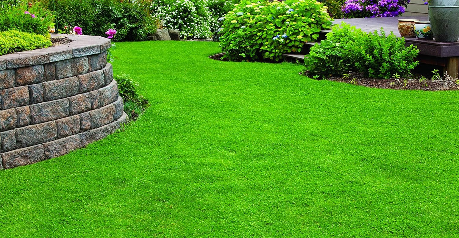 X-Seed 440AS0135UCT-5 MicroLawn Grass & Micro-Clover Mixture 5 lbs White