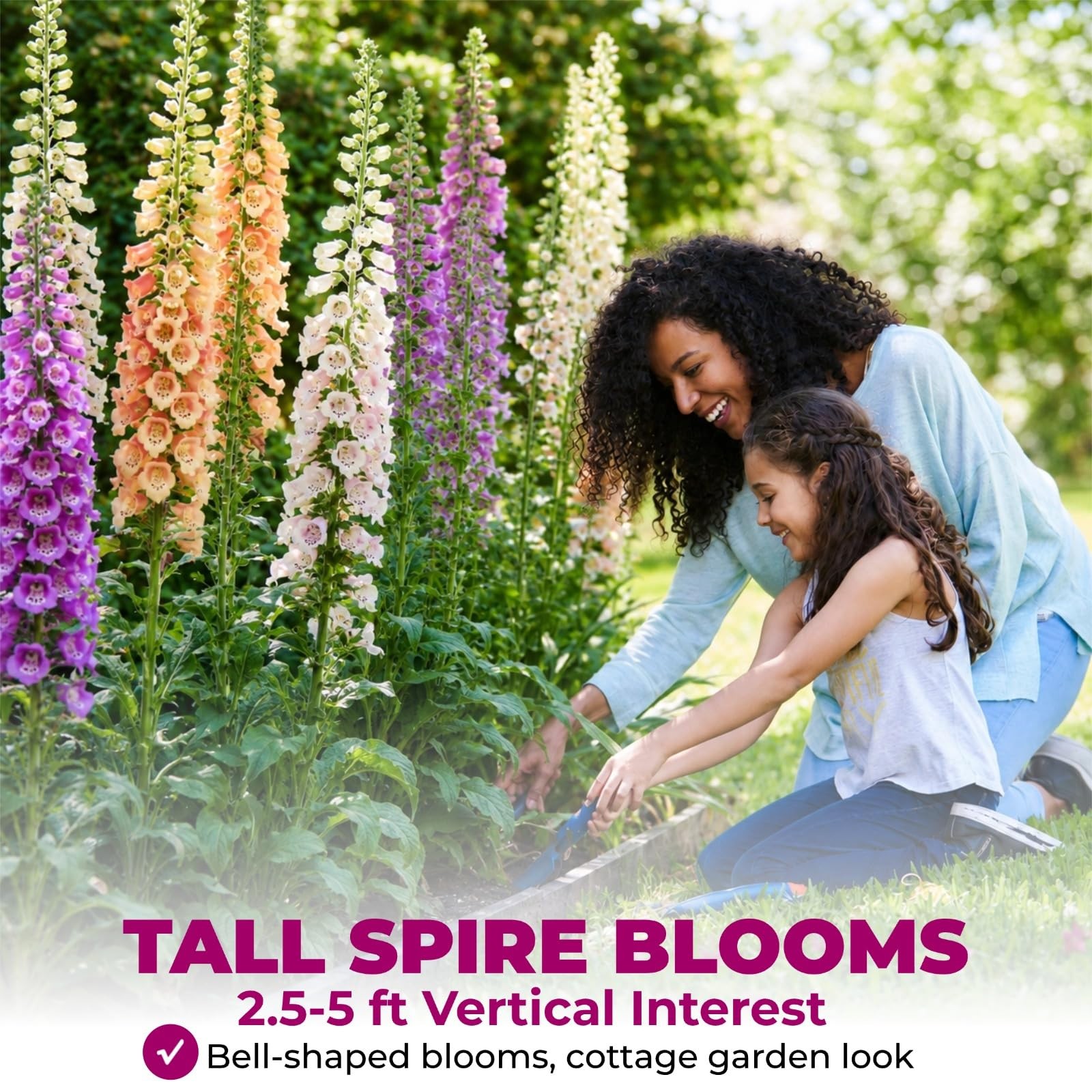 350,000+ Common Foxglove Seeds for Planting Digitalis Purpurea Seeds, Tall O…