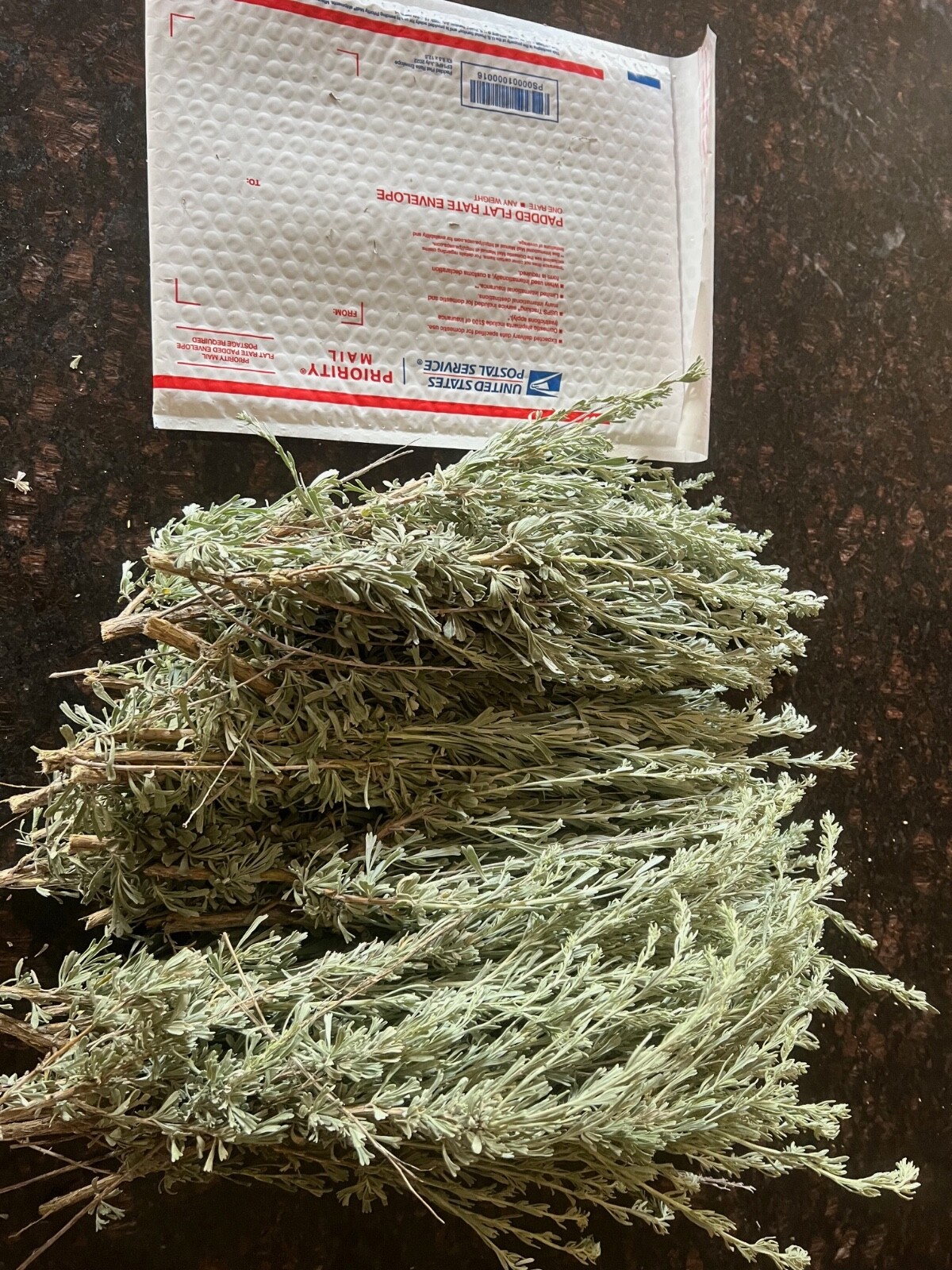 SAGEBRUSH CUTTINGS 8-12 inch long, 2+ pound. Fragrant for Decorations & Smudging