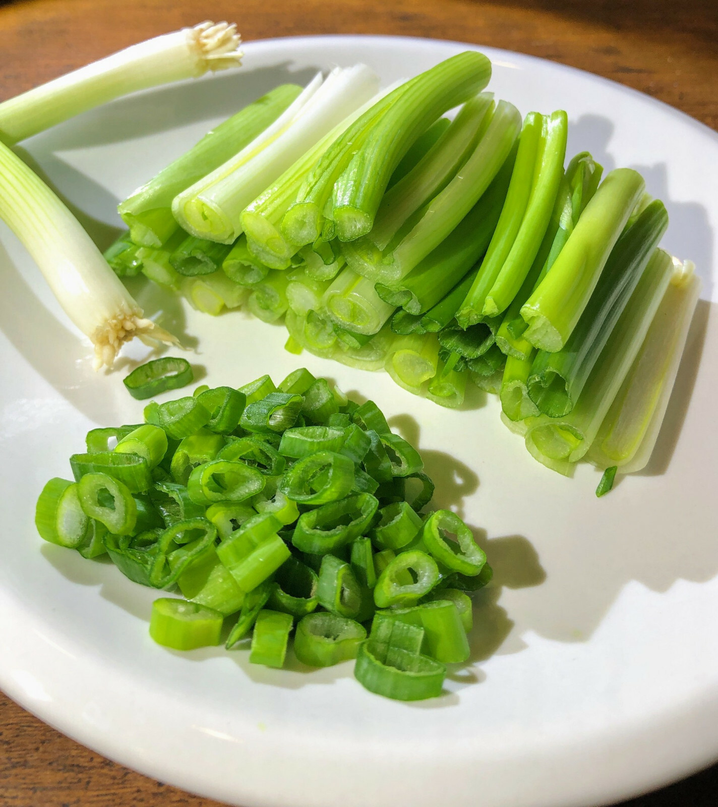 1000 Japanese Evergreen White Stem Green Onion Seeds, Scallion Bunching Allium