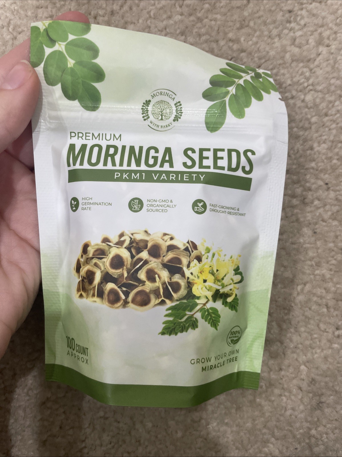 Moringa Seeds 100 Count Moringa Tree Seeds High Germination Rates