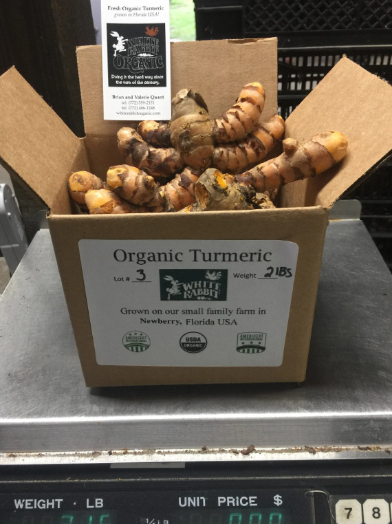 2 lbs Red USDA certified organic fresh red turmeric root