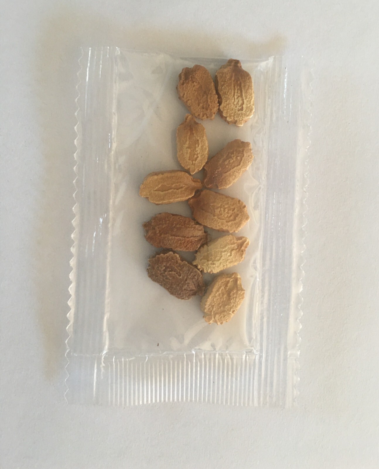 10 White Skin Bitter Gourd seeds Bitter melon Seeds Ku Gua Seeds Asian Vegetable