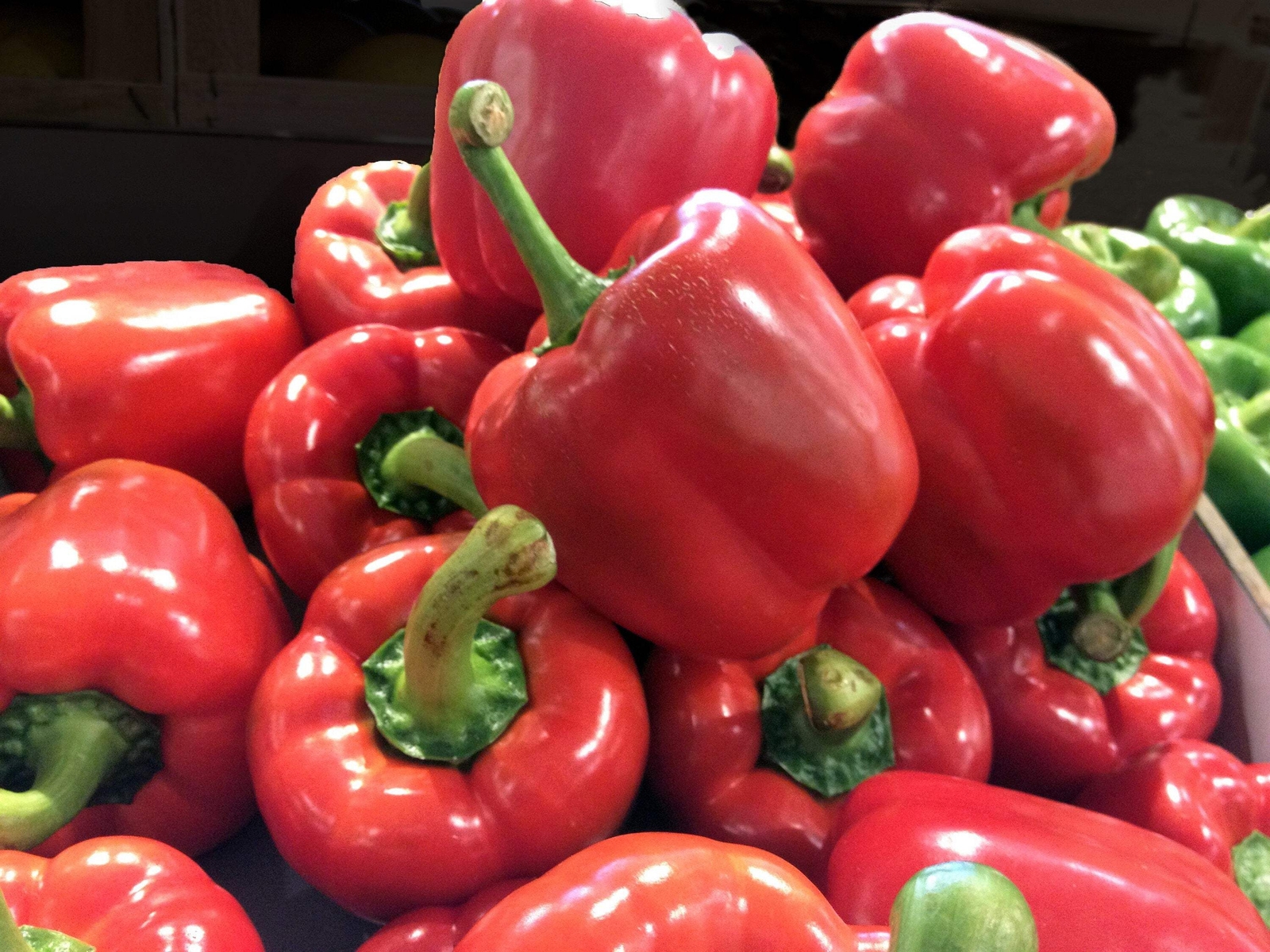 20 Organic Red MINI BELL PEPPER Sweet Mild Miniature Capsicum Vegetable Seeds