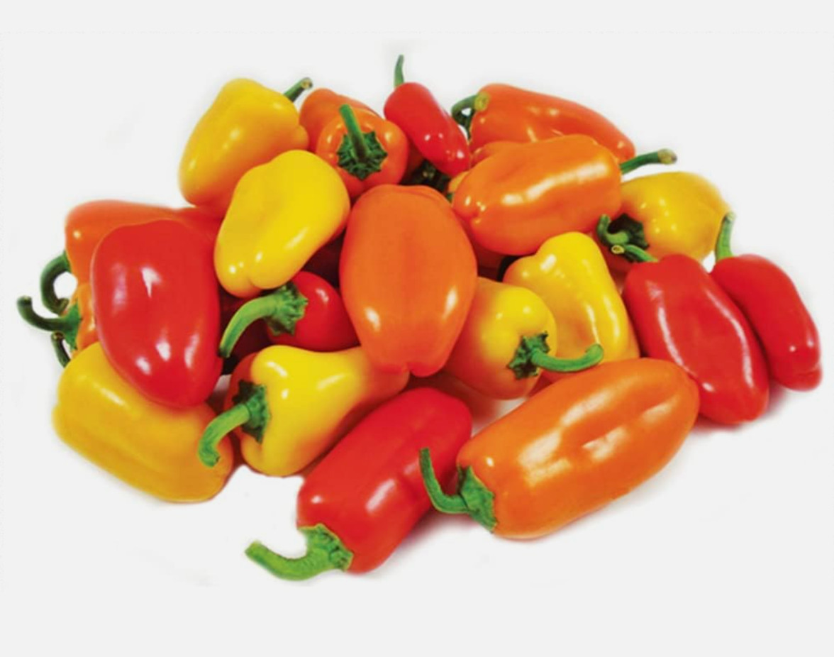 100 Lunchbox Sweet Snacking Pepper Seeds Red Orange Yellow Organic Non-GMO fresh