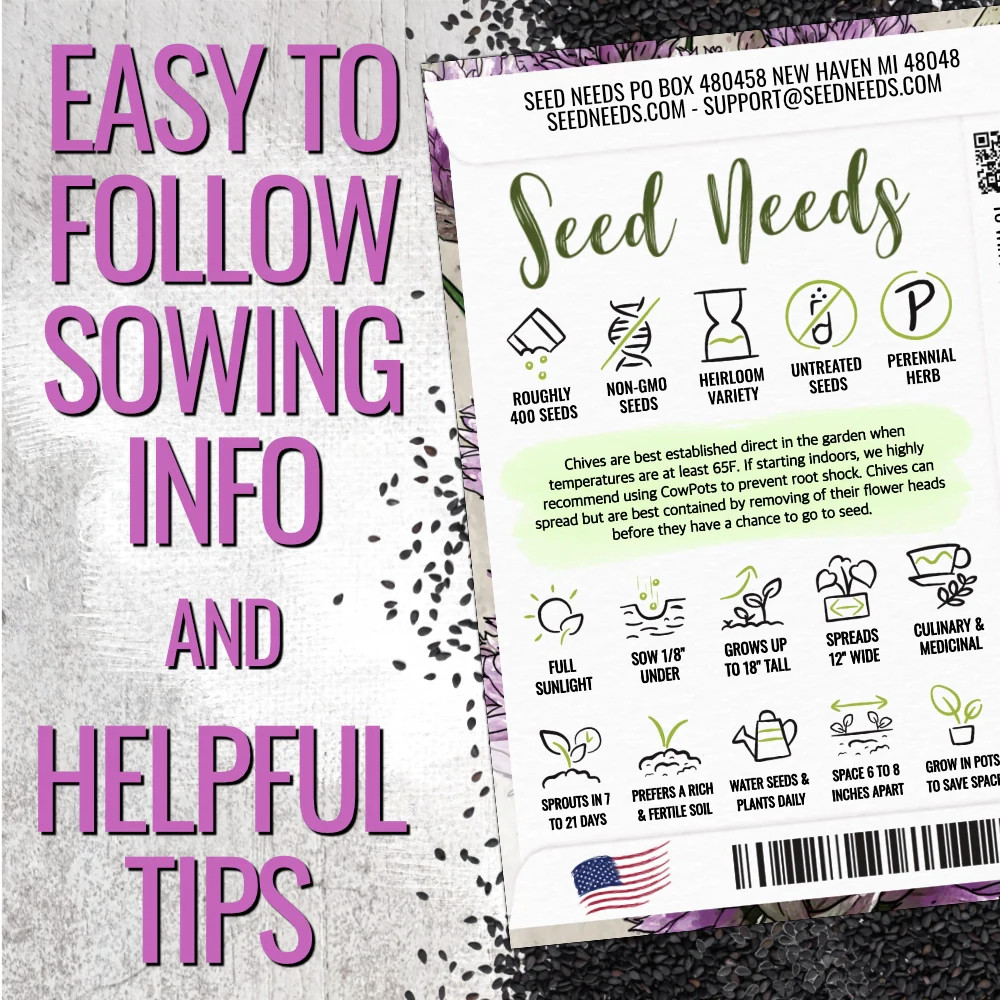 Common Chives Herb Seeds For Planting (Allium schoenoprasum)