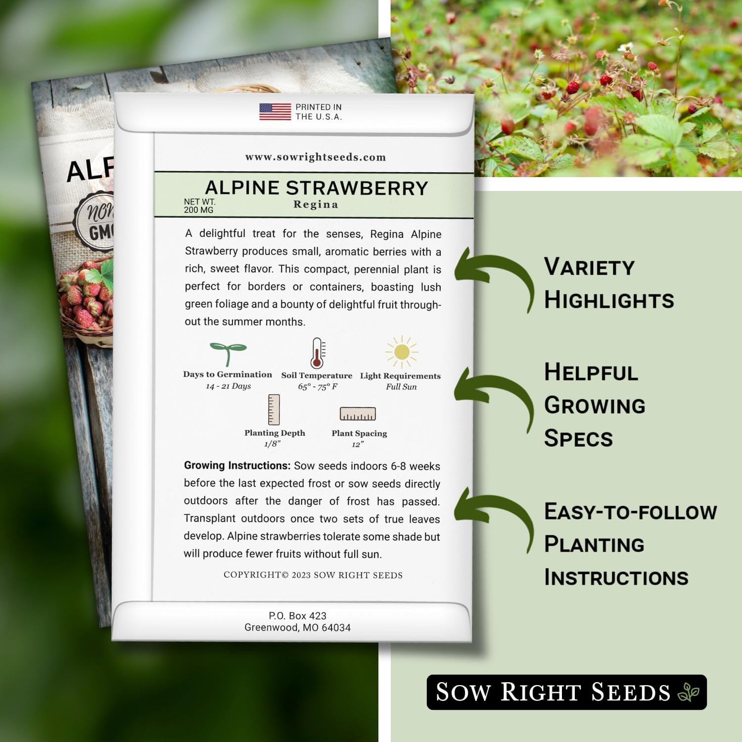 Sow Right Seeds – Regina Alpine Strawberry Seeds for Planting – Non-GMO Heirloom