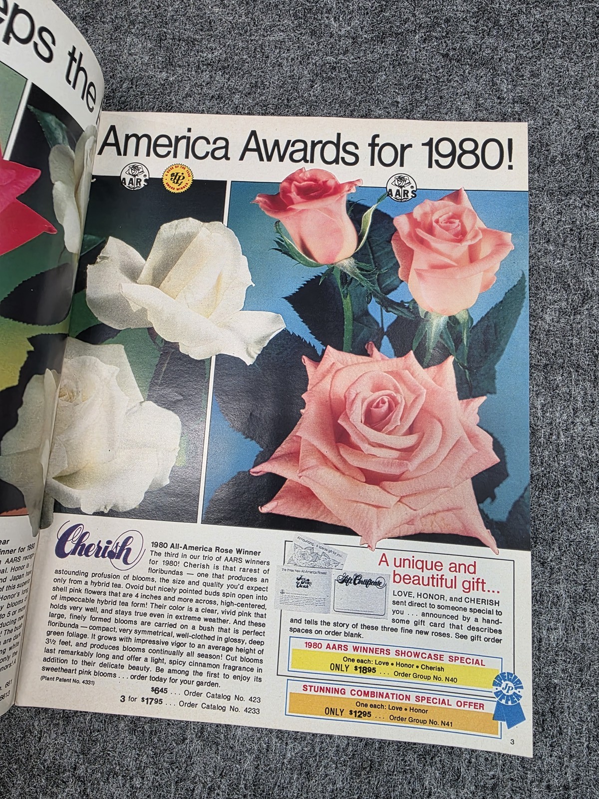 Vintage Jackson & Perkins Roses ’80 Catalog All-America Award Winners