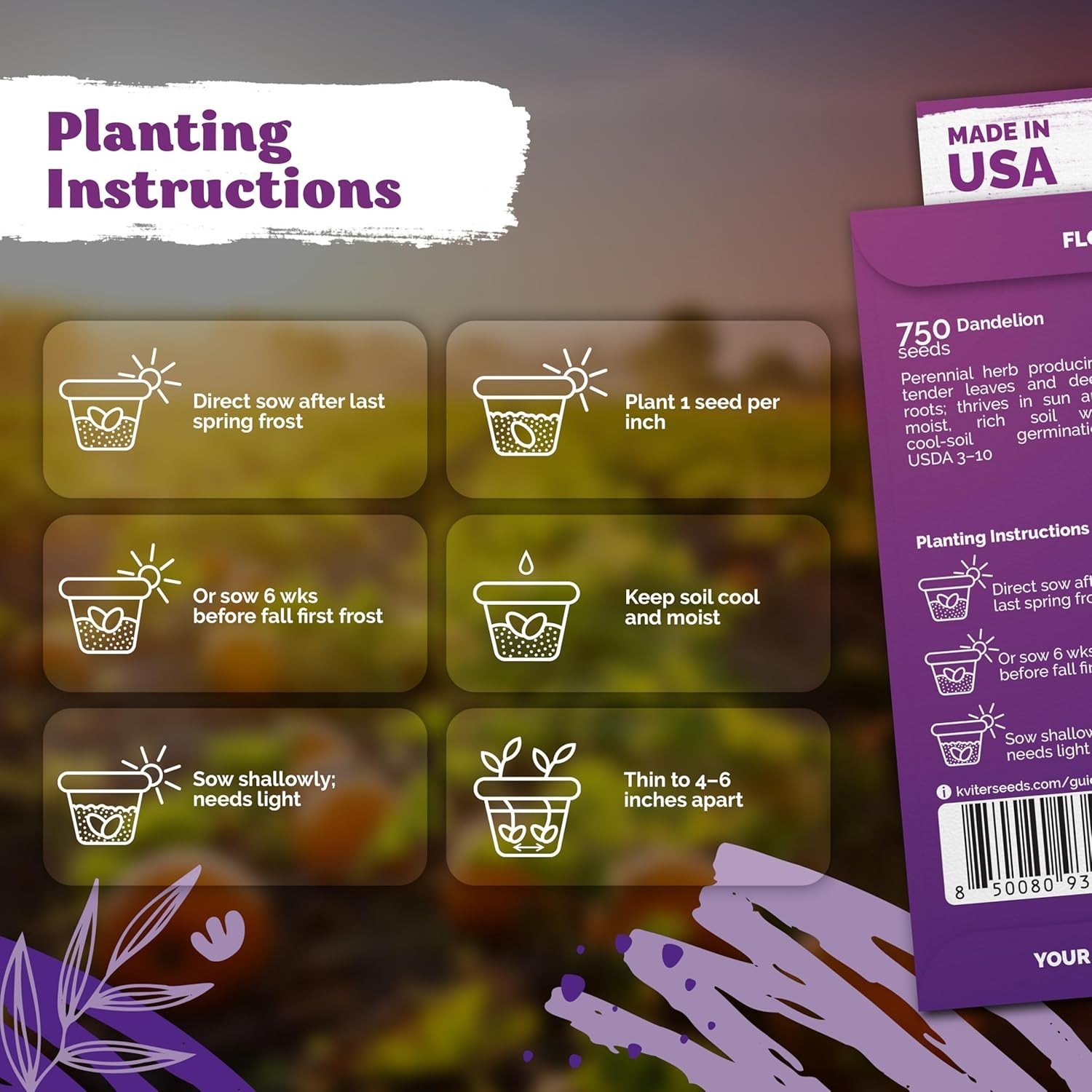 750 High Germination Dandelion Seeds – Sustainable Edible Herb for All Seasons