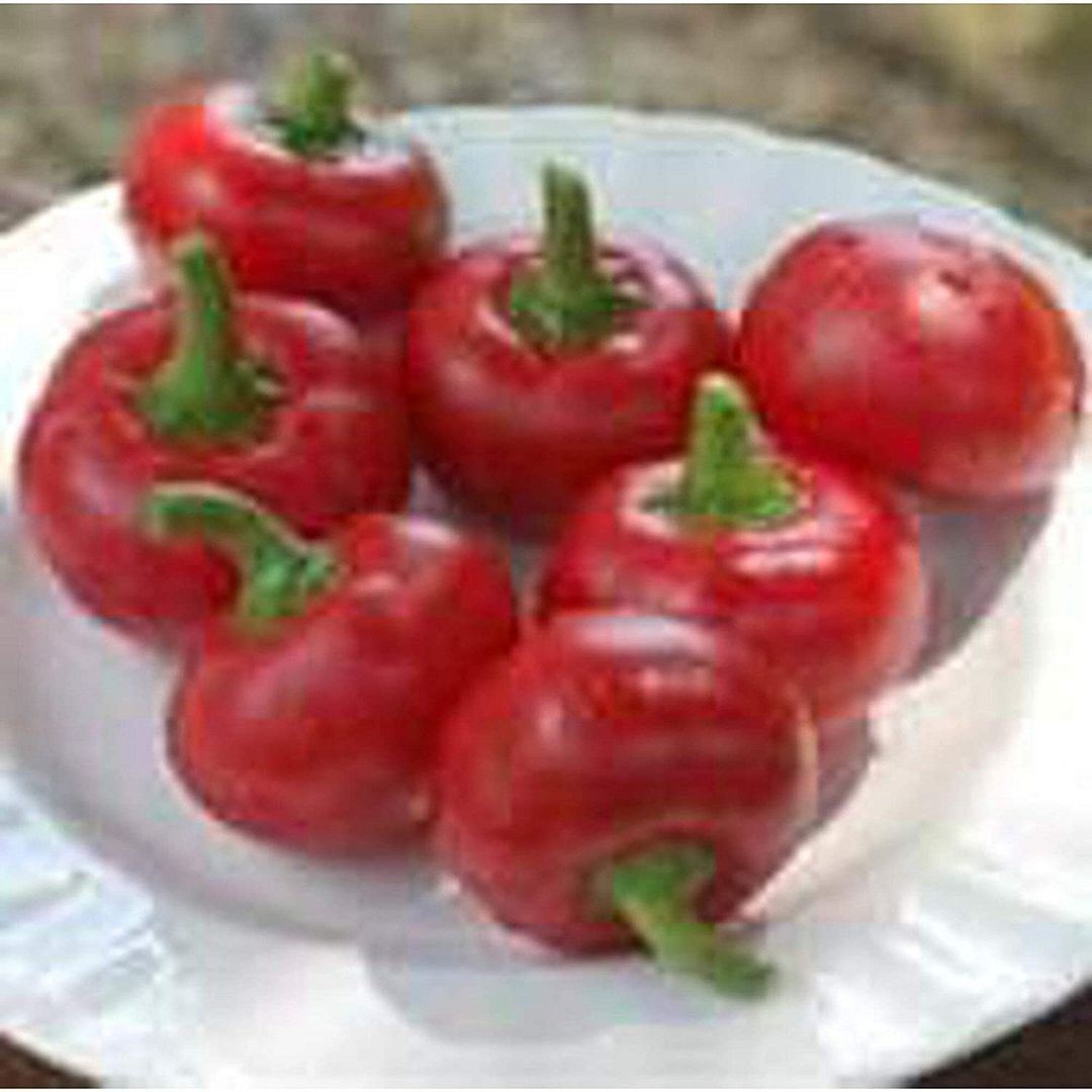 Red Cherry Large Sweet Peppers Seeds (25 Seed Packet) (More Heirloom, Organic, N
