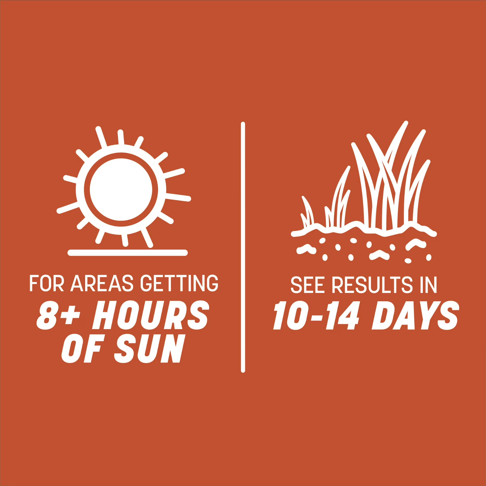 (3 Pack) Pennington Smart Seed Texas Bermuda Grass Seed 1.75 lb Full Sun Lawn