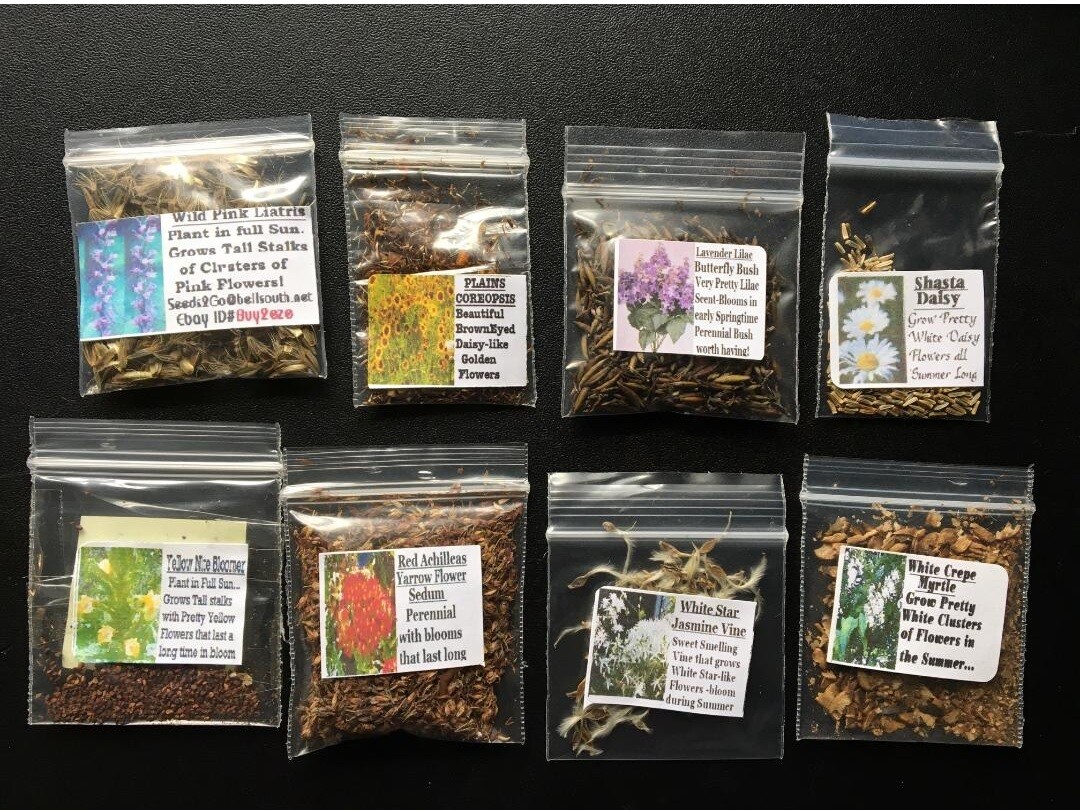 LOTS OF VARIETY OF 8 DIFFERENT KINDS OF FLOWER SEEDS GREAT DEAL! #25 USA Seller