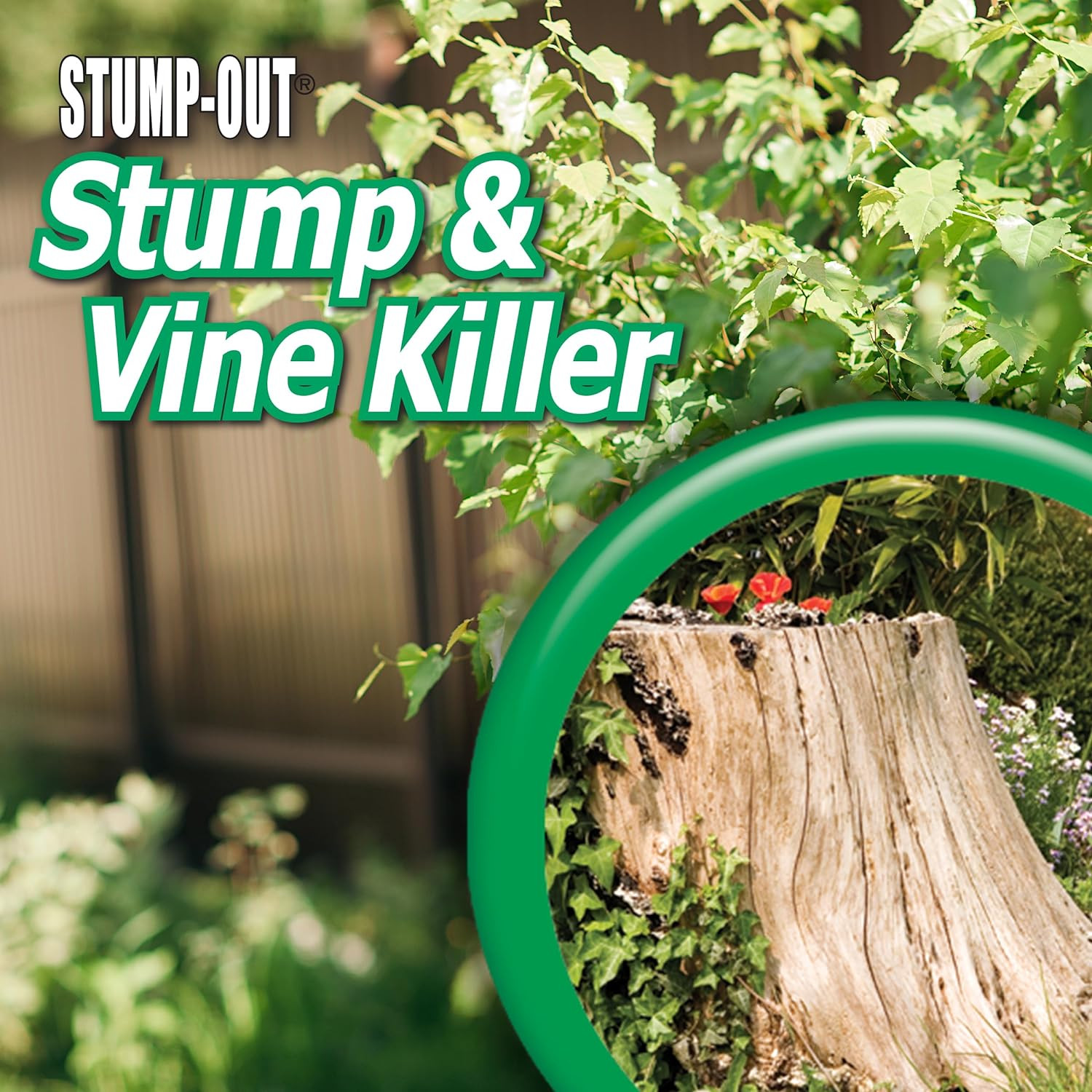 Stump & Vine Killer, 8 Oz Concentrate with Applicator