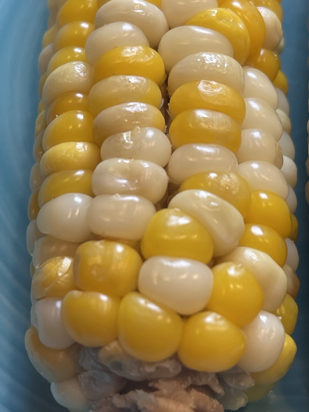 Organic Sweet Sticky Waxy White Glutinous Corn Non-GMO 糯玉米