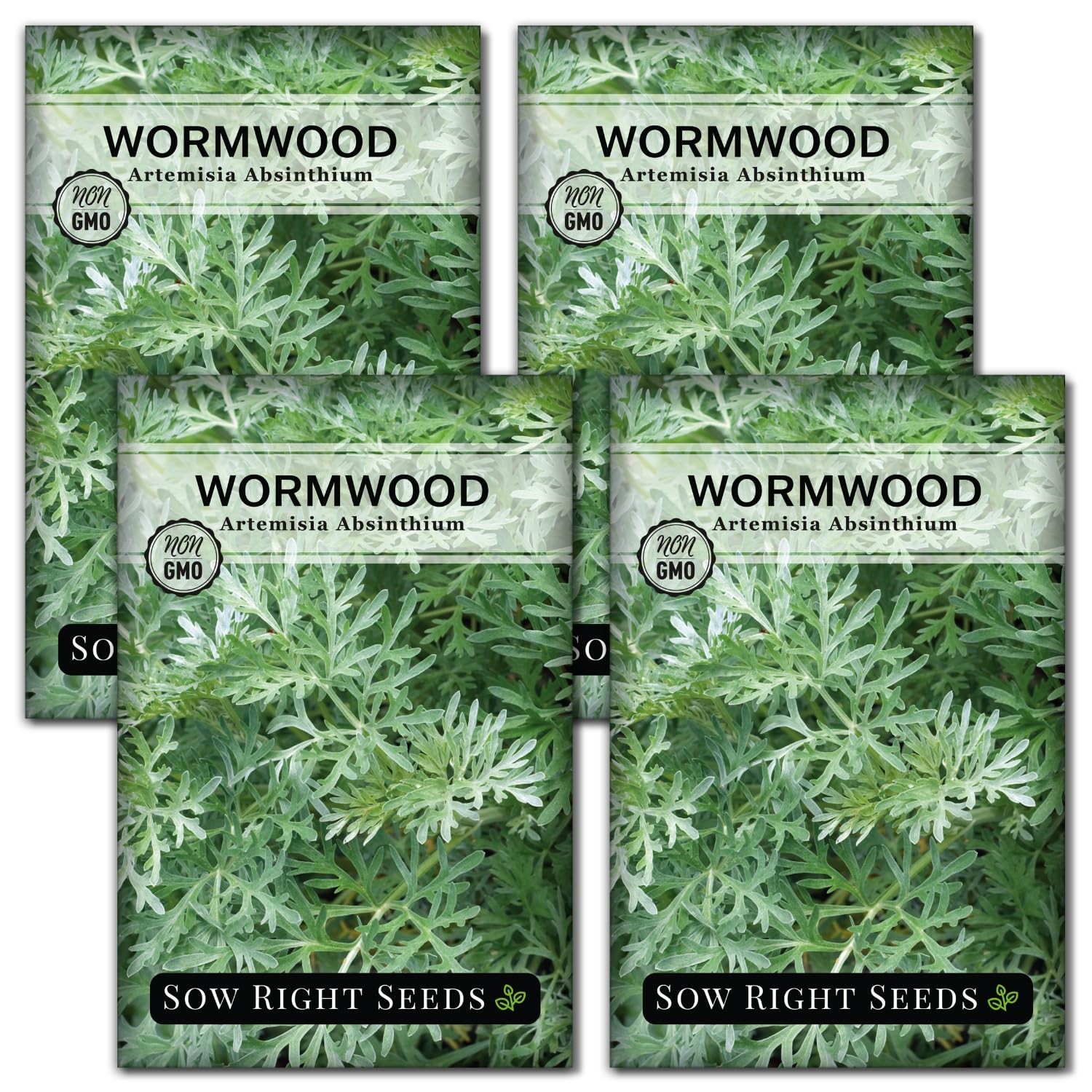 Wormwood Heirloom Non-GMO Herb Garden Planting Kit Natural Medicinal Plant